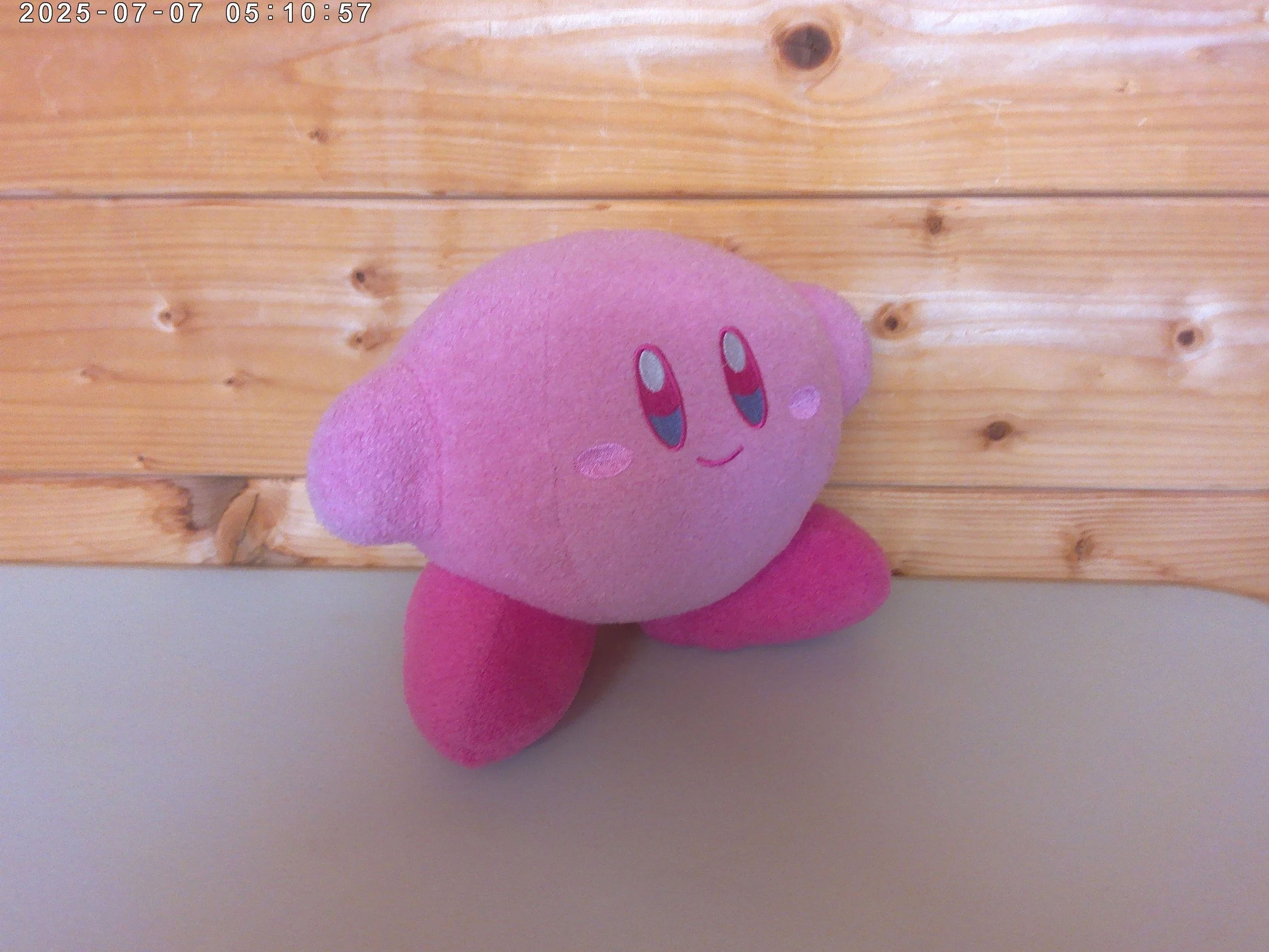 Kirby - photo 3.jpg