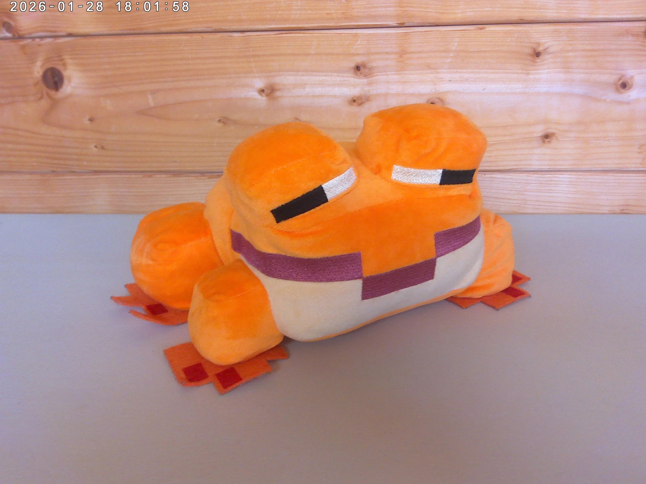 Frog orange - photo 1 (1).jpg