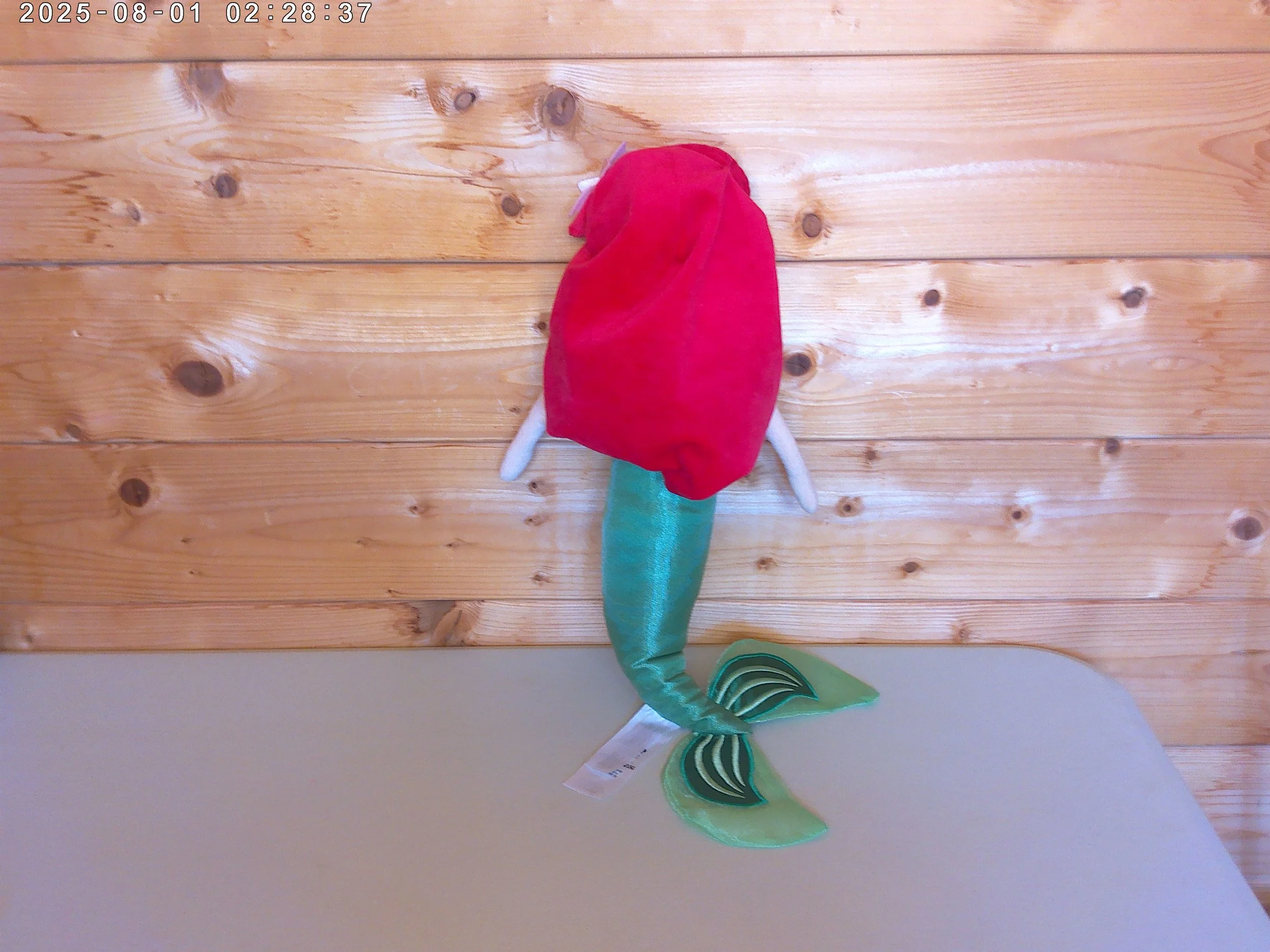 The little Mermaid - photo 2.jpg