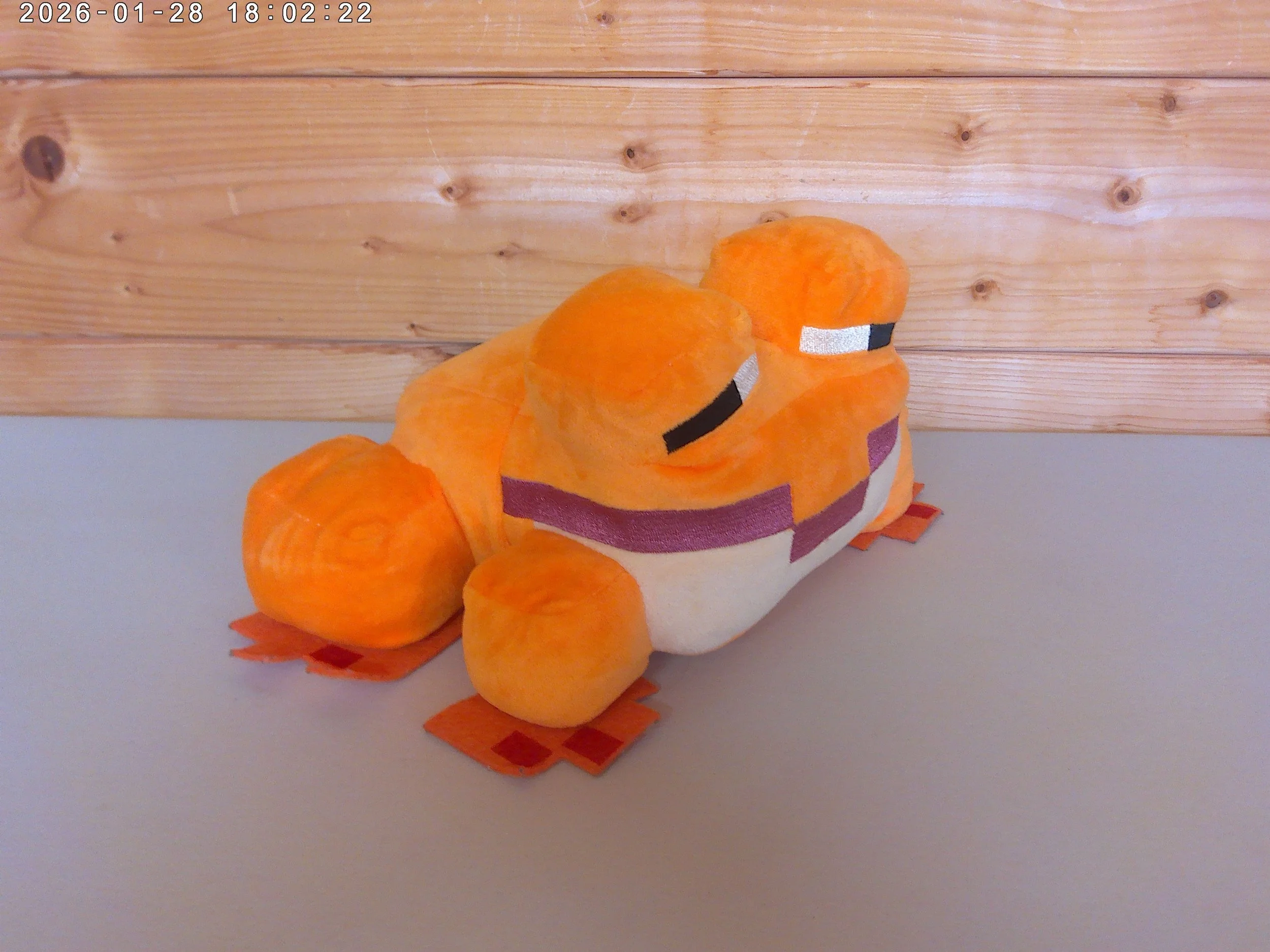 Frog Orange - photo 3.jpg