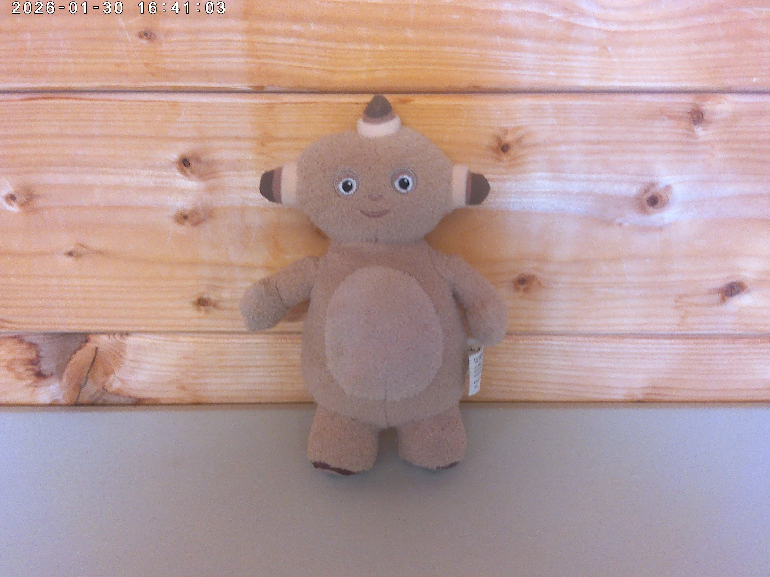 In The Night Garden Makka Pakka Plush