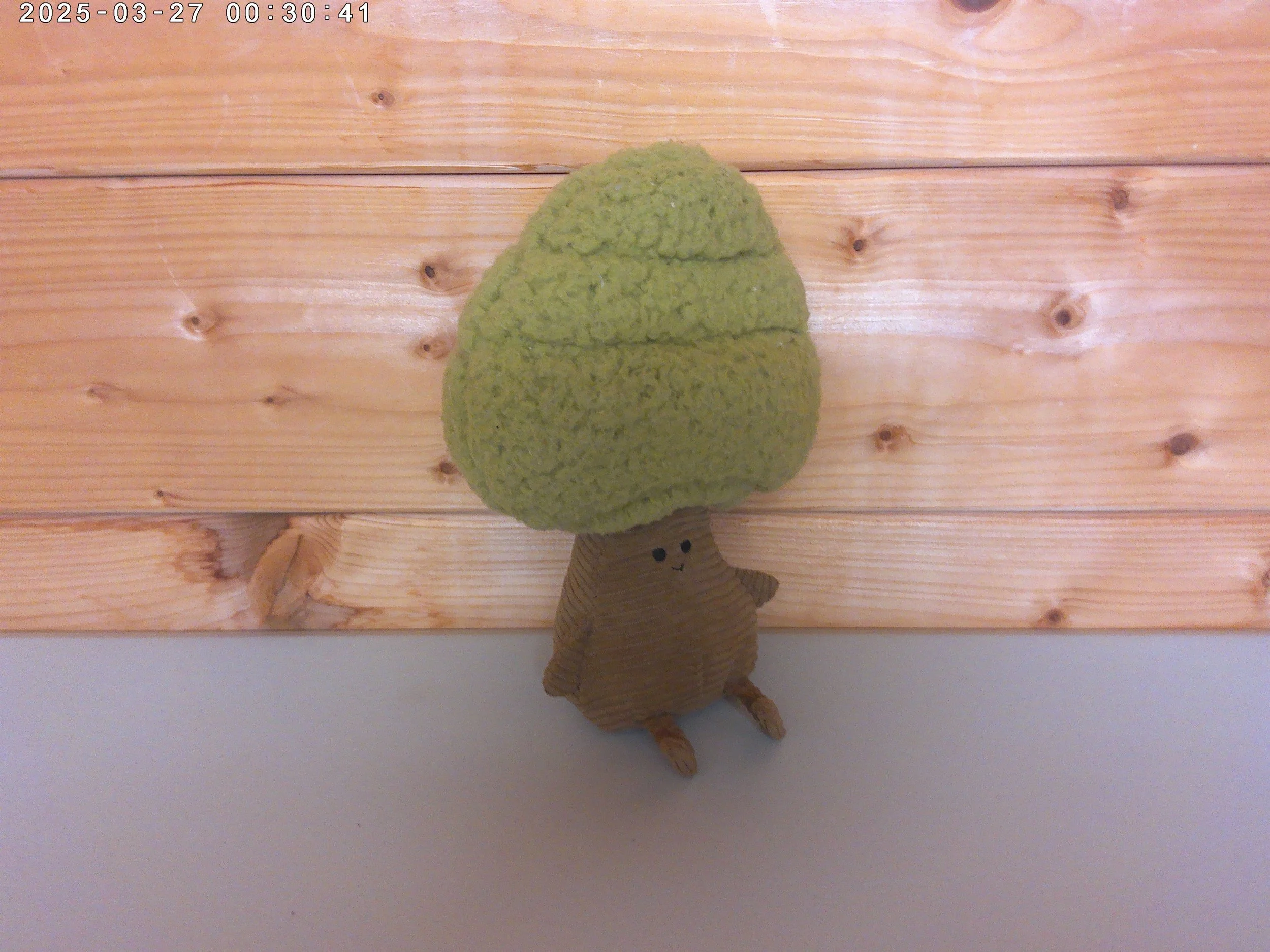 Foretree lime - photo 3.jpg