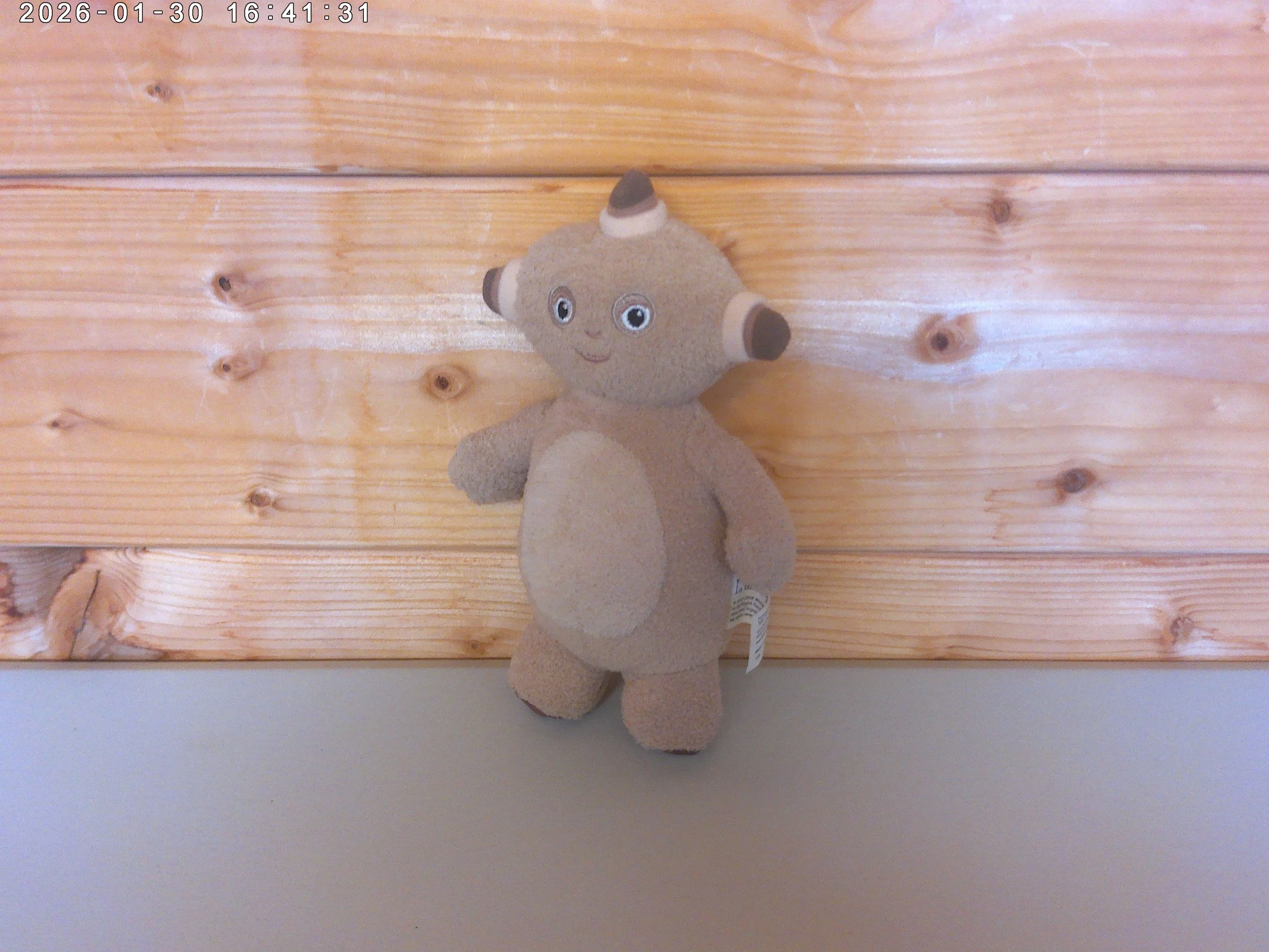 Makka Pakka - photo 3.jpg