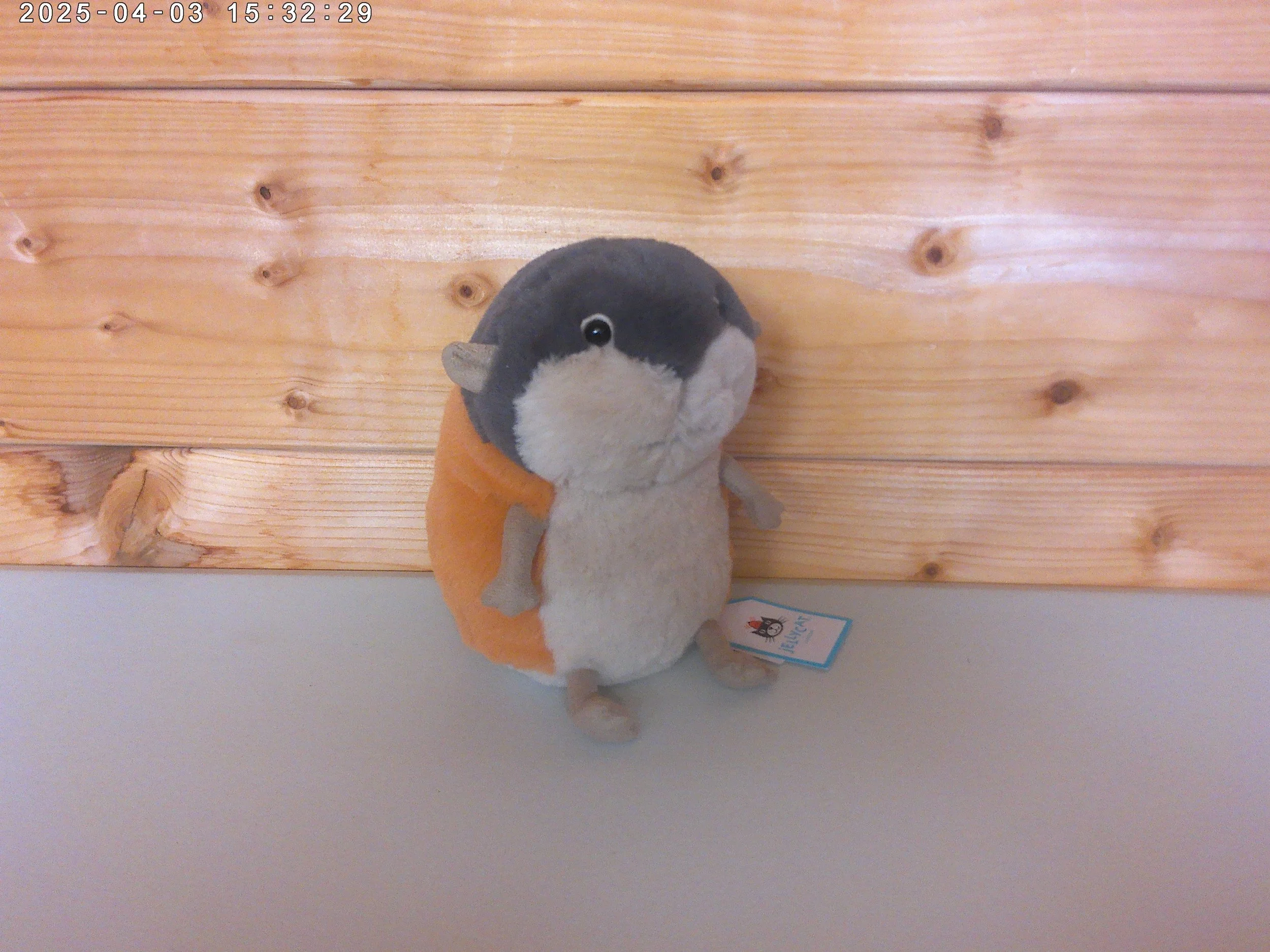 Lemming - photo 3.jpg