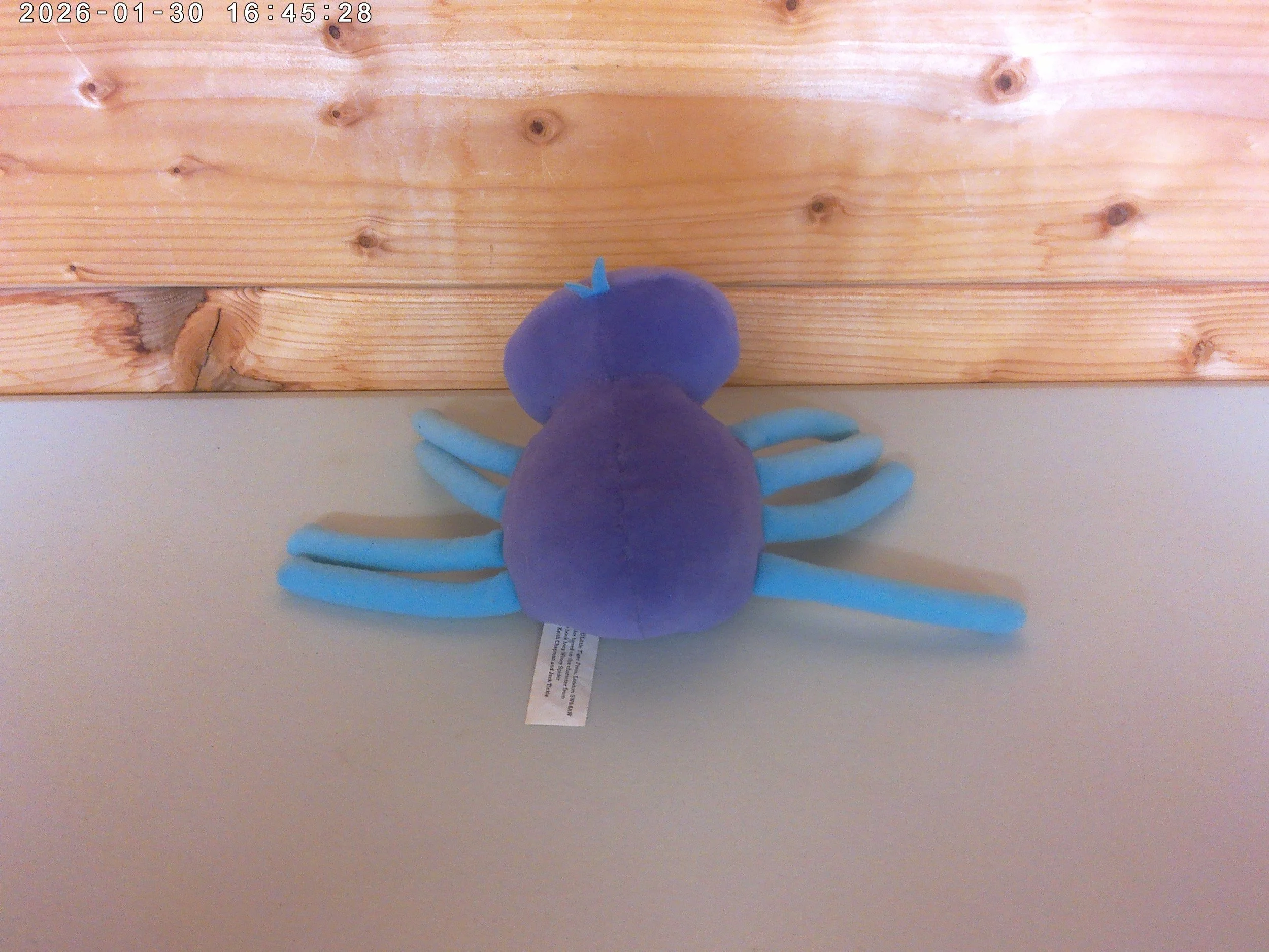 Incy Wincy - photo 2.jpg