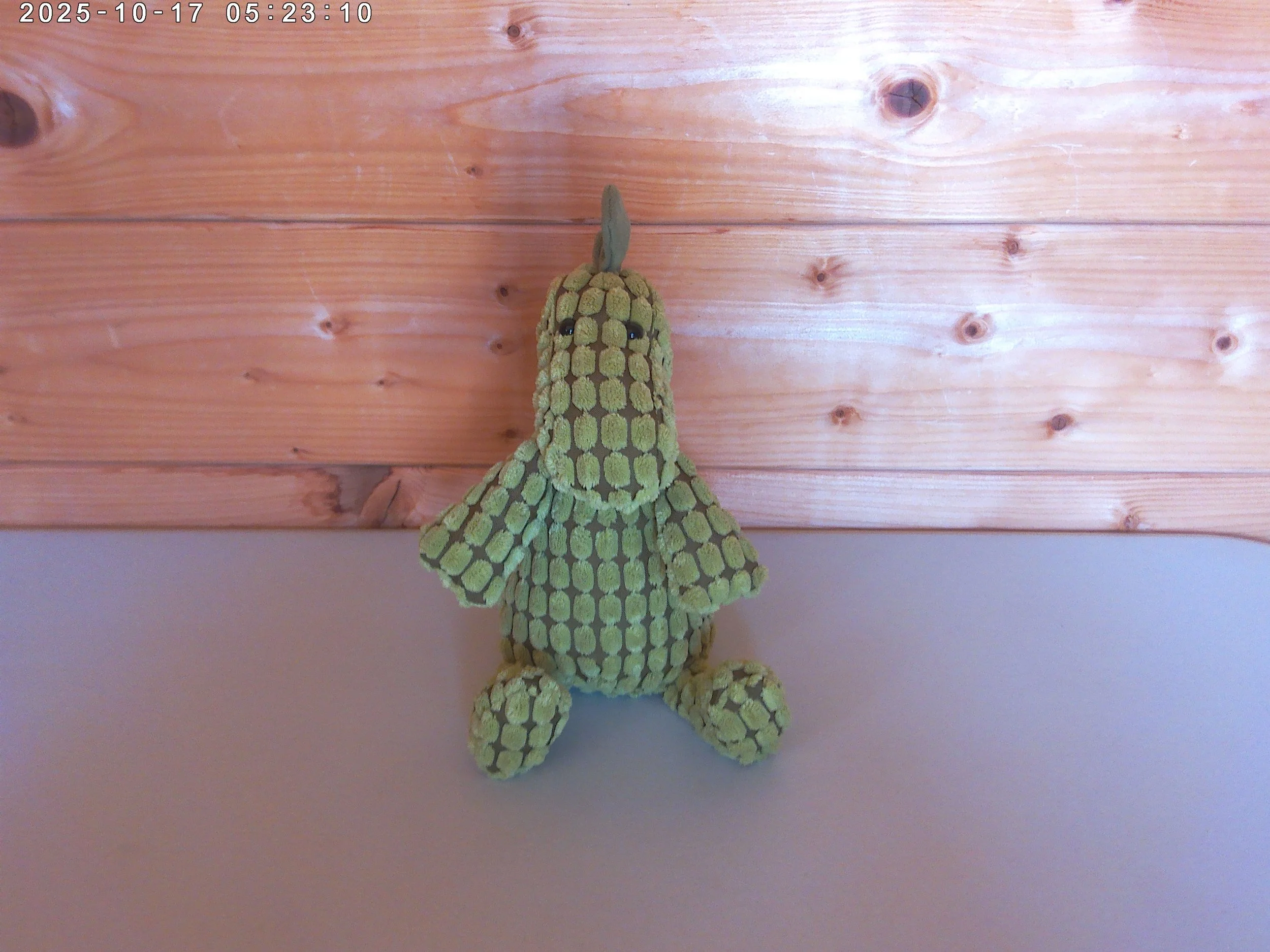 cordy roy dino - photo 1.jpg
