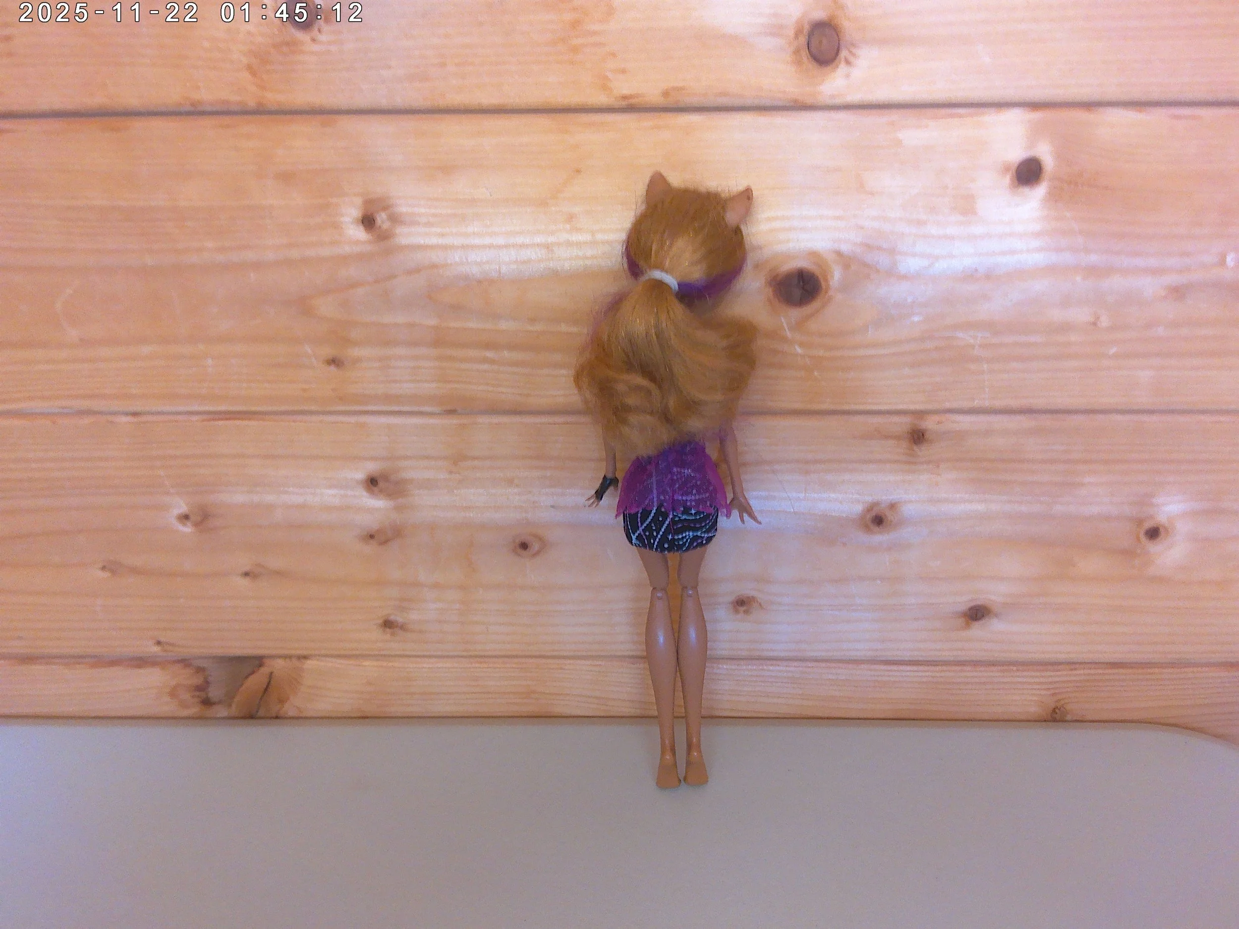 Clawdeen - photo 2.jpg