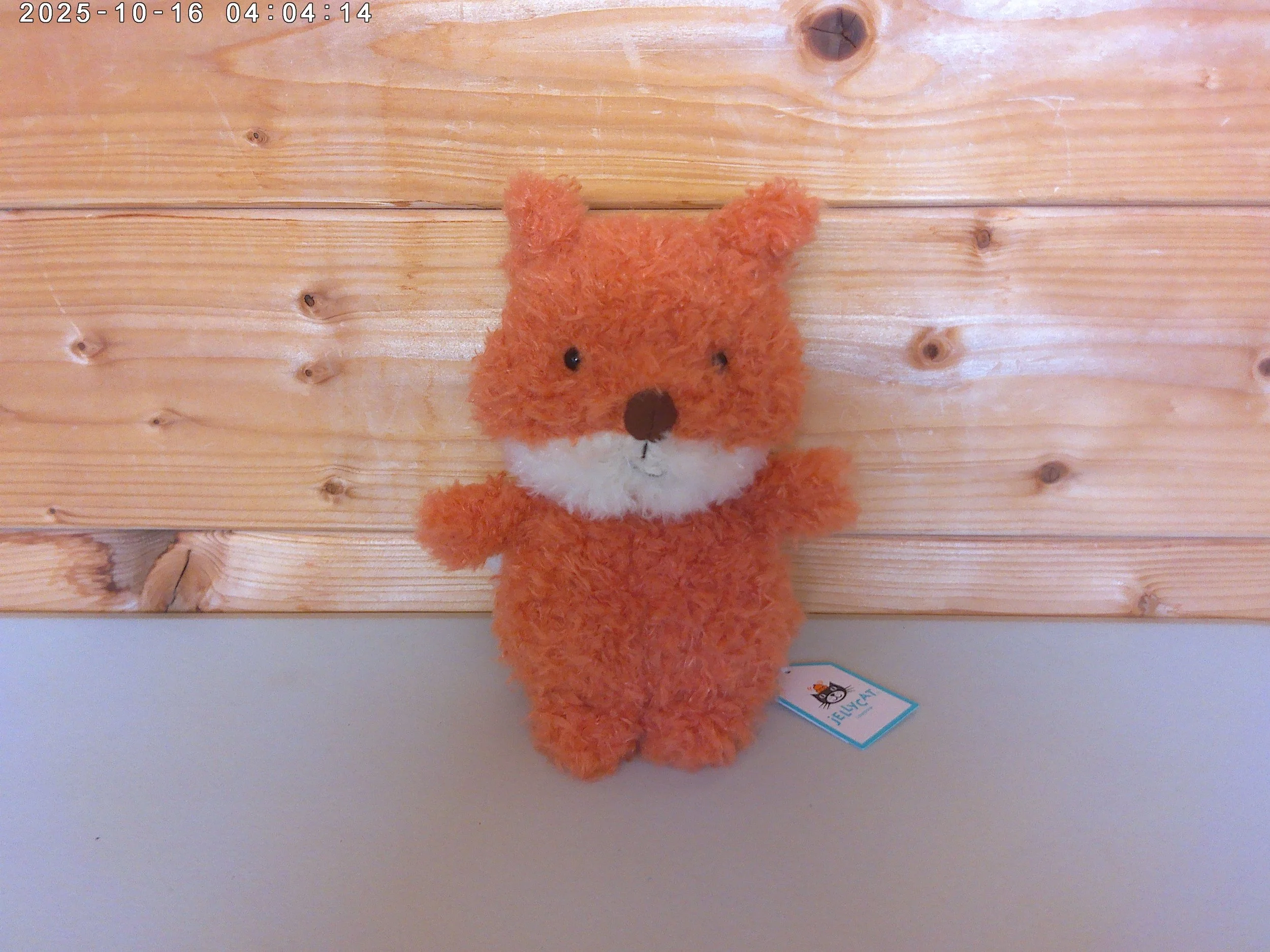 Little Fox - photo 1.jpg
