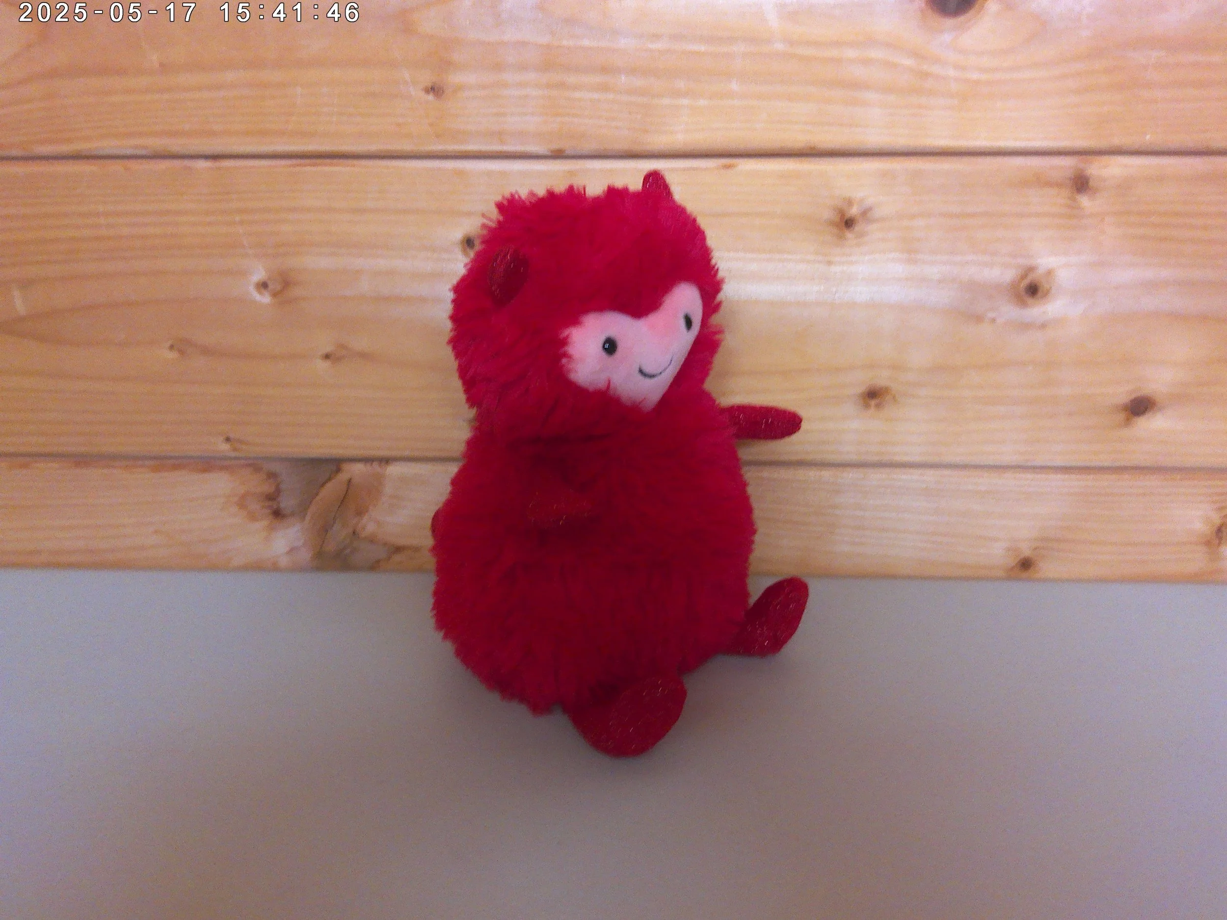 Hugg McSnugg - photo 3.jpg