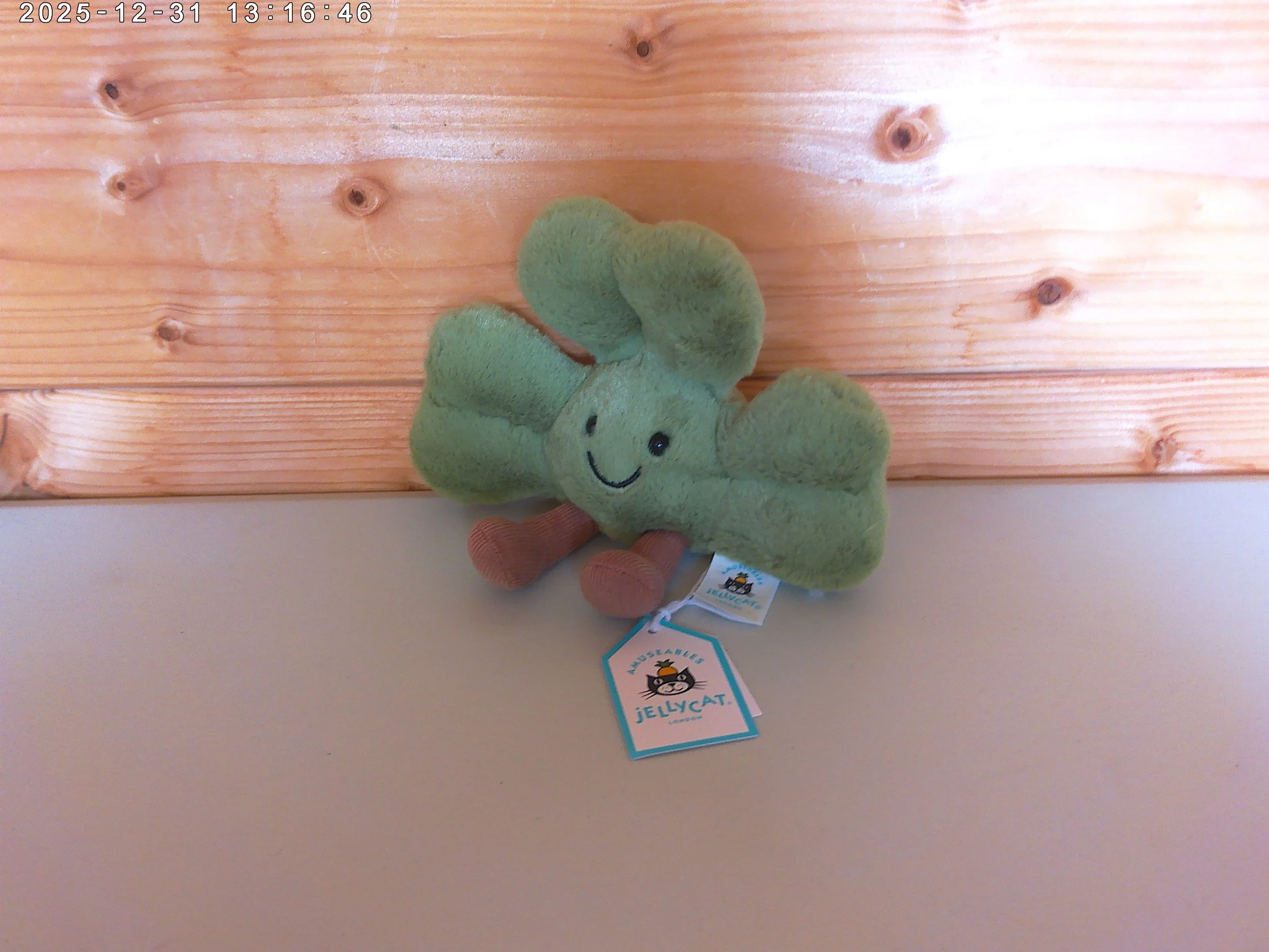 Shamrock - photo 3.jpg
