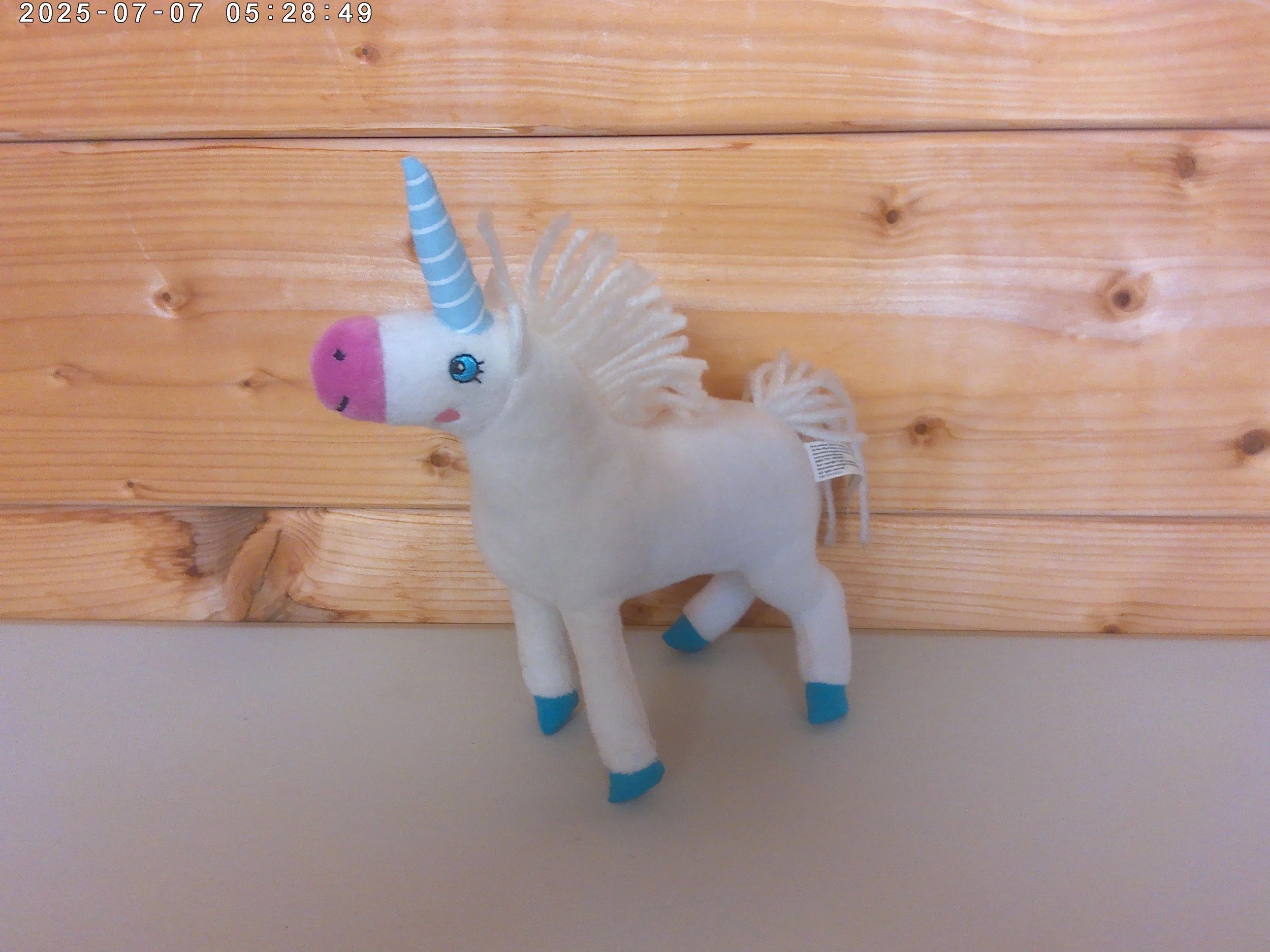 Sugerlump - photo 1.jpg