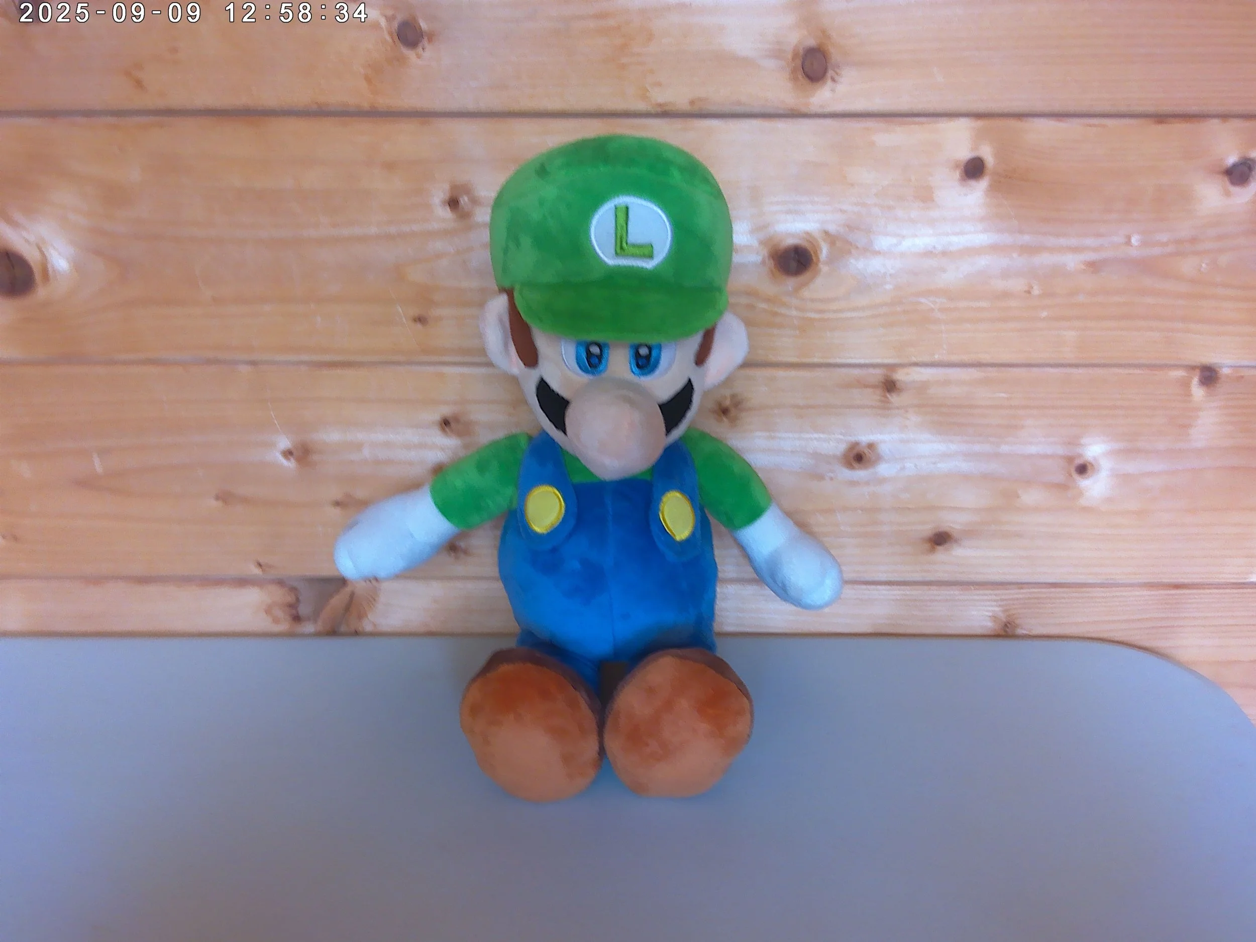 Large Luigi - photo 1.jpg