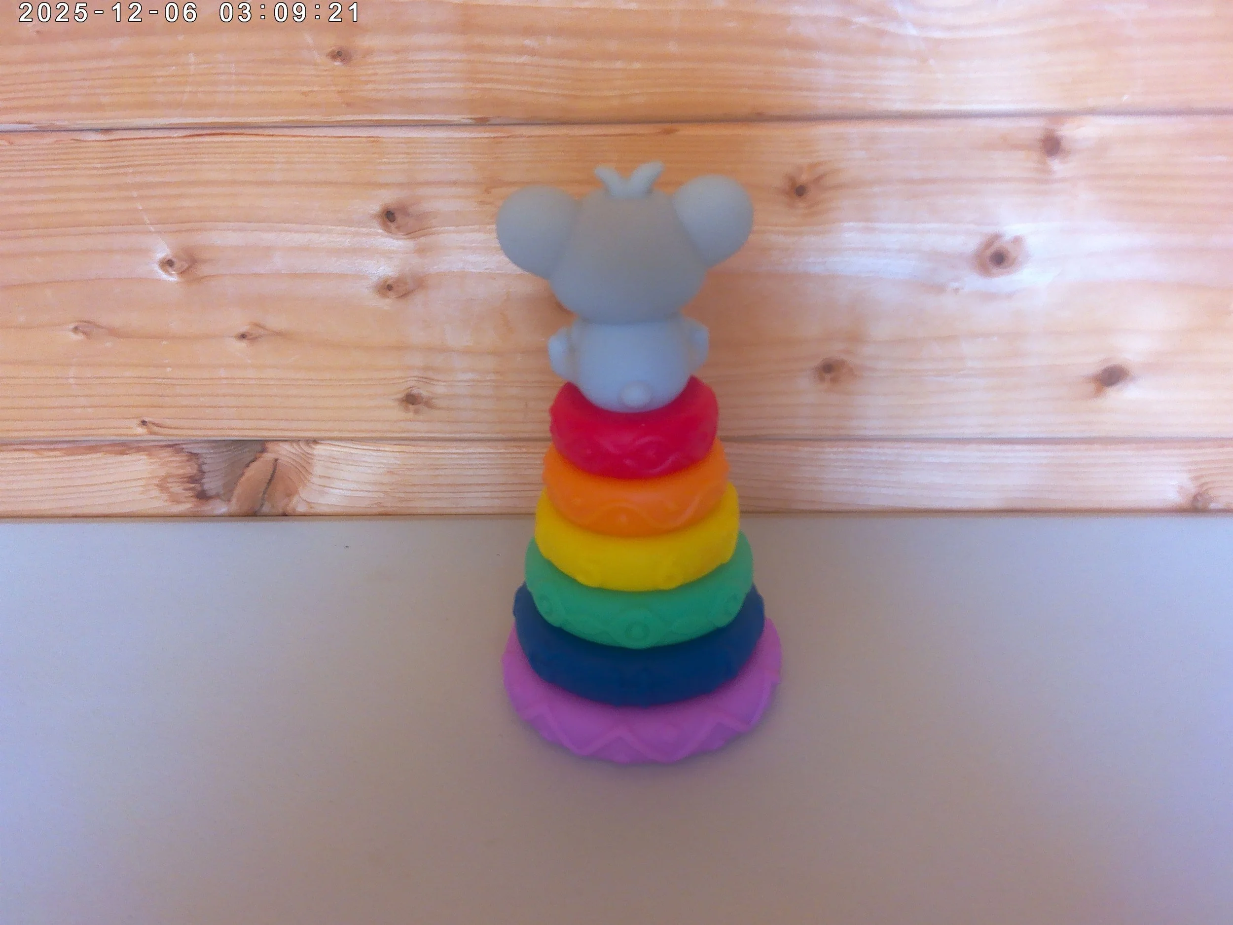 Koala - photo 2.jpg
