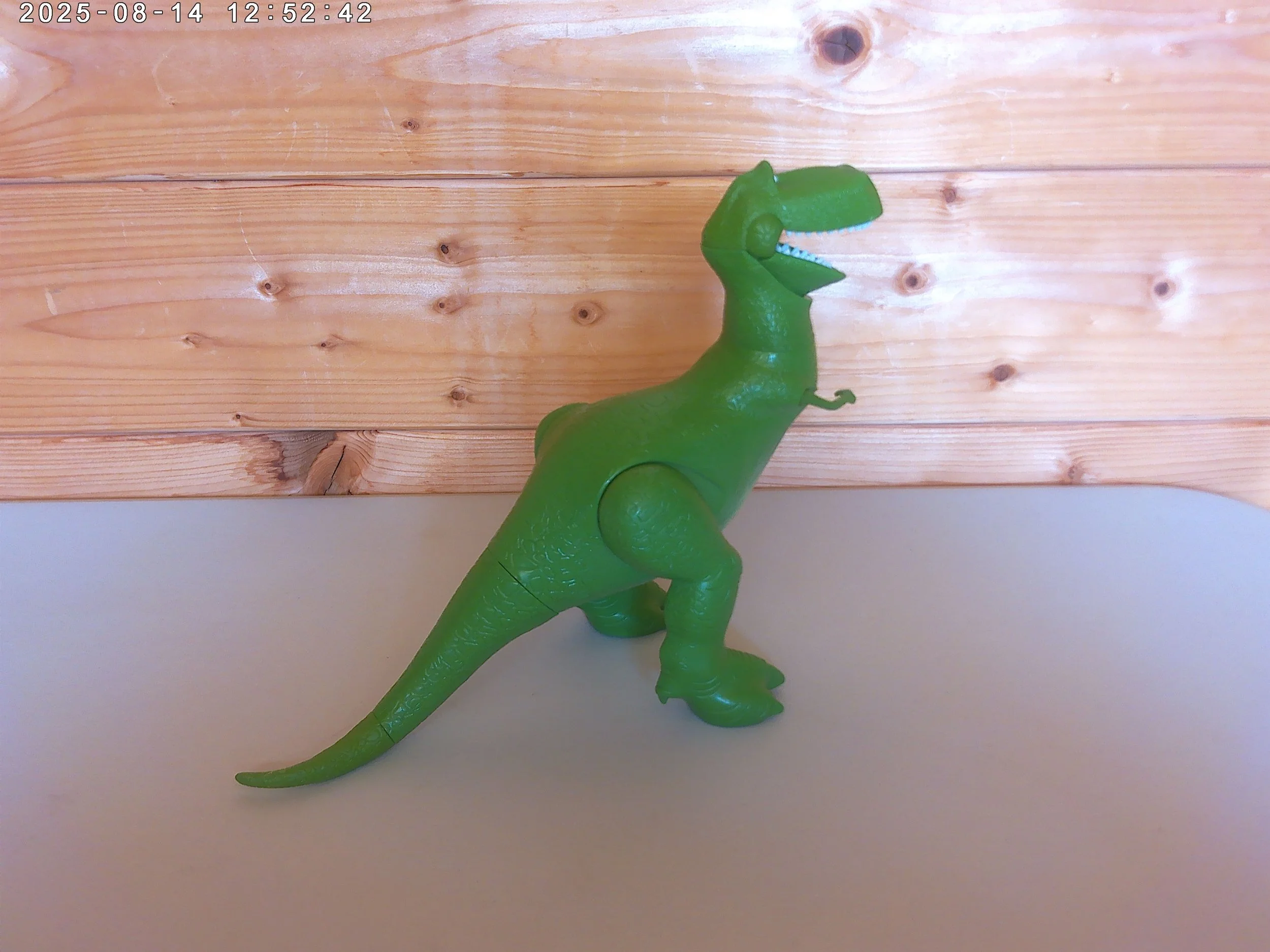 rex - photo 3.jpg