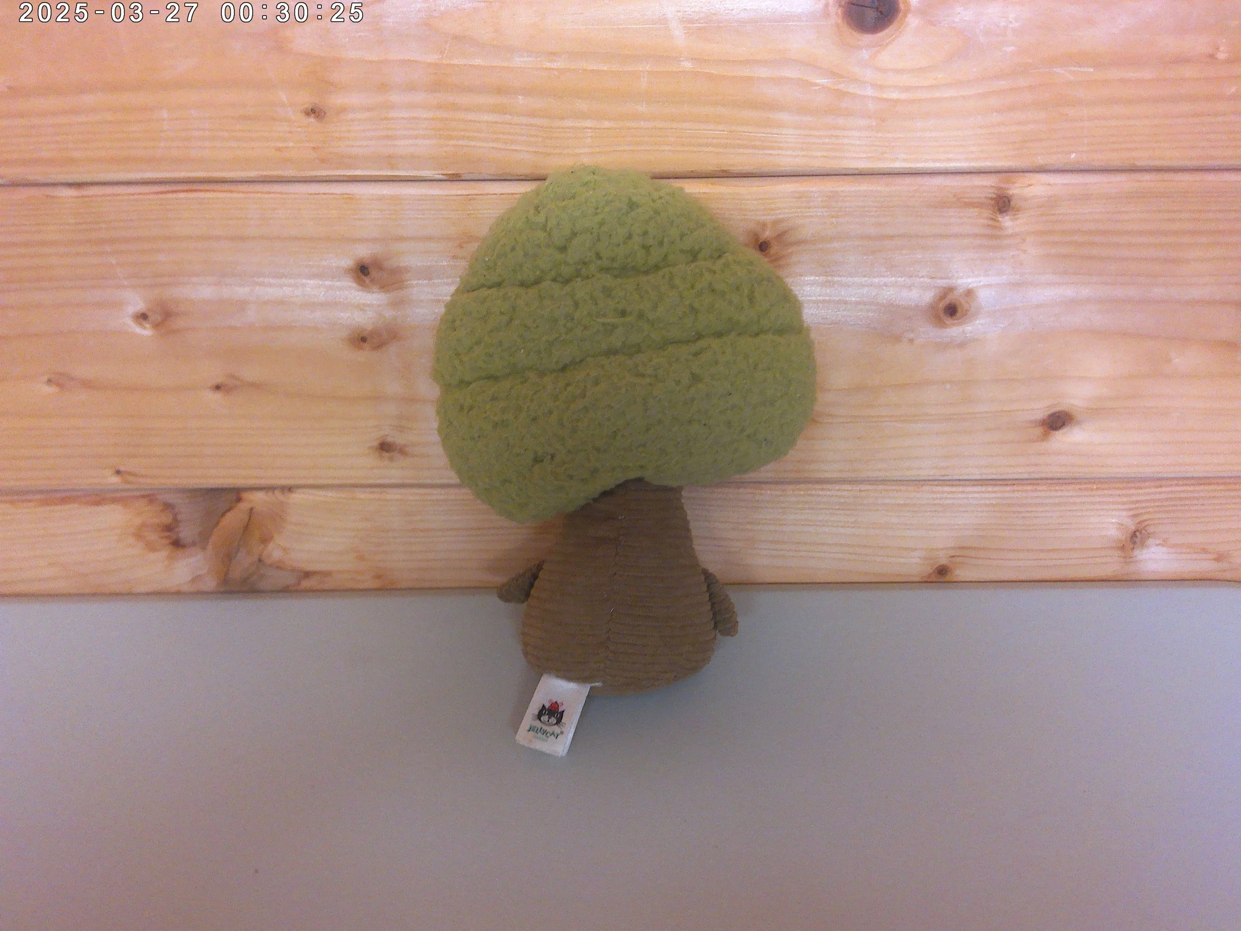 Forestree lime - photo 2.jpg