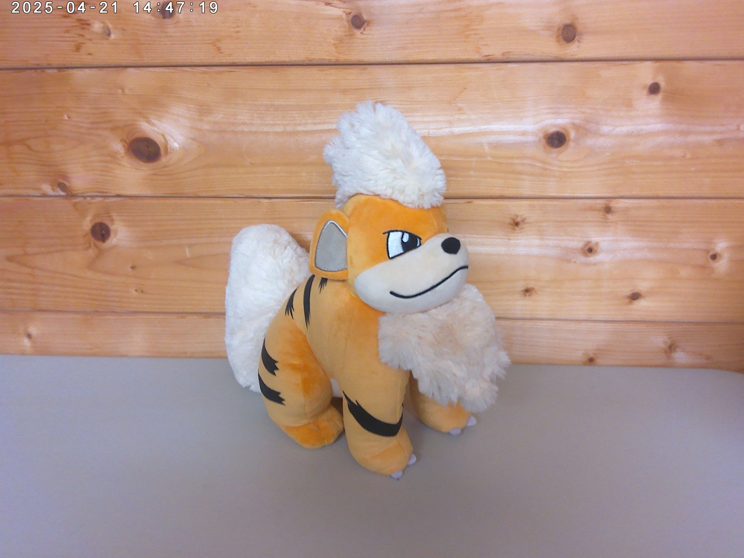 Growlithe - photo 4.jpg
