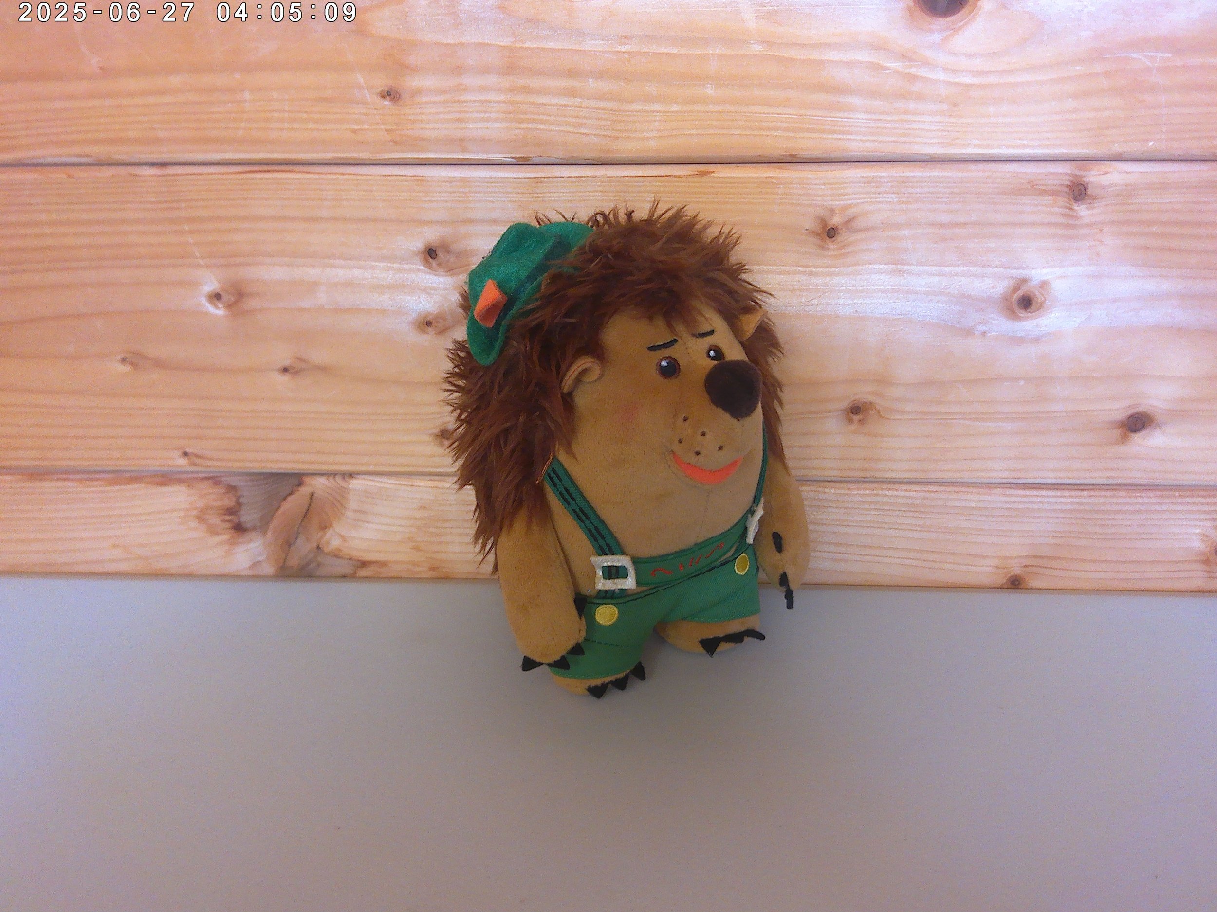 Mr Pricklepant - photo 3.jpg