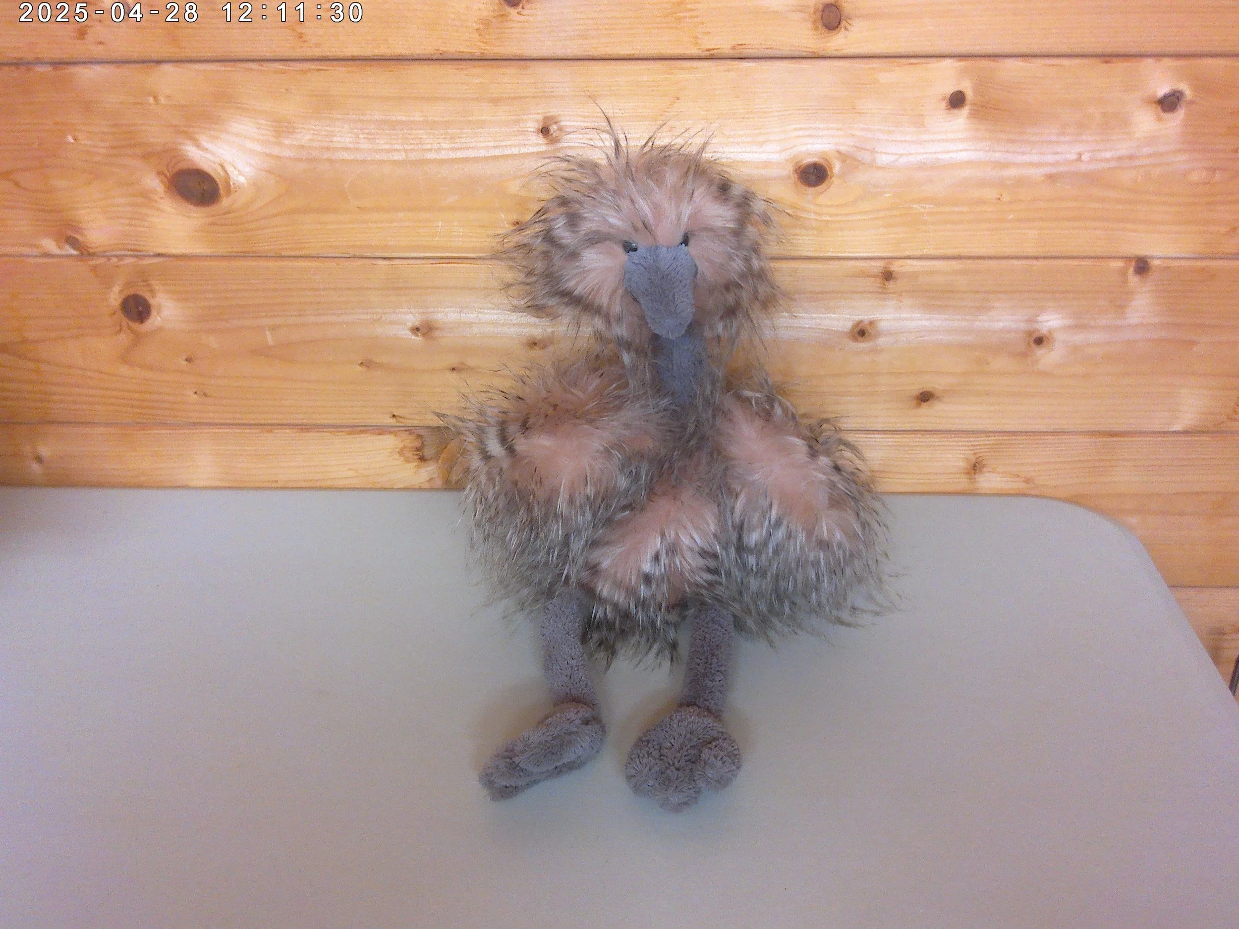 Jellycat Odette Ostrich - New