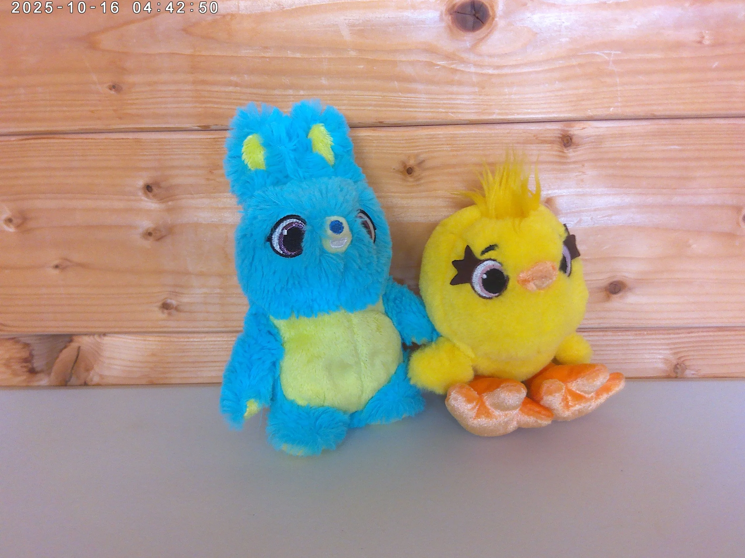 Bunny & ducky - photo 5.jpg