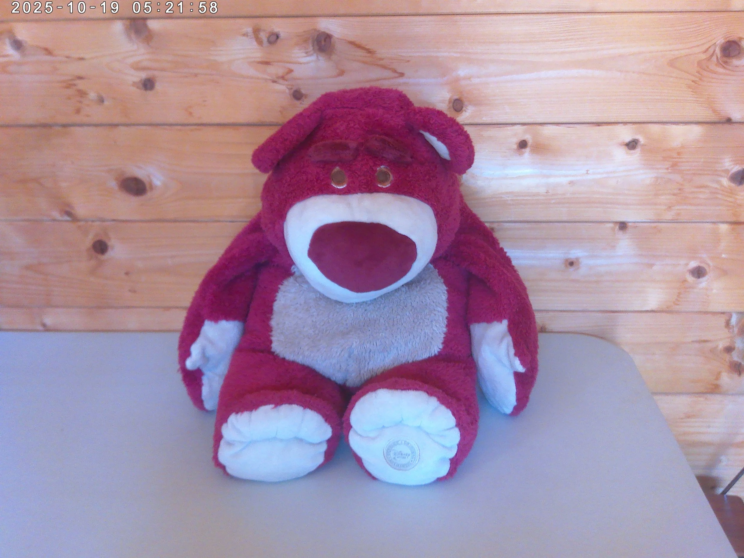 Lotso - photo 2.jpg