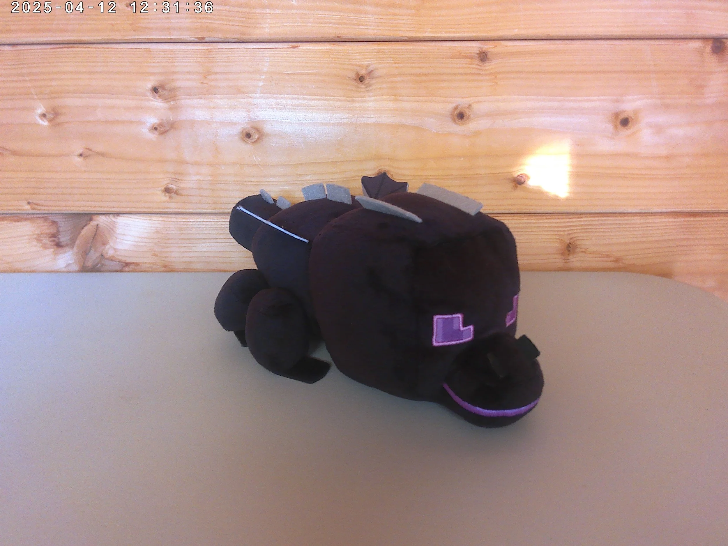 Enderdragon - photo 2.jpg