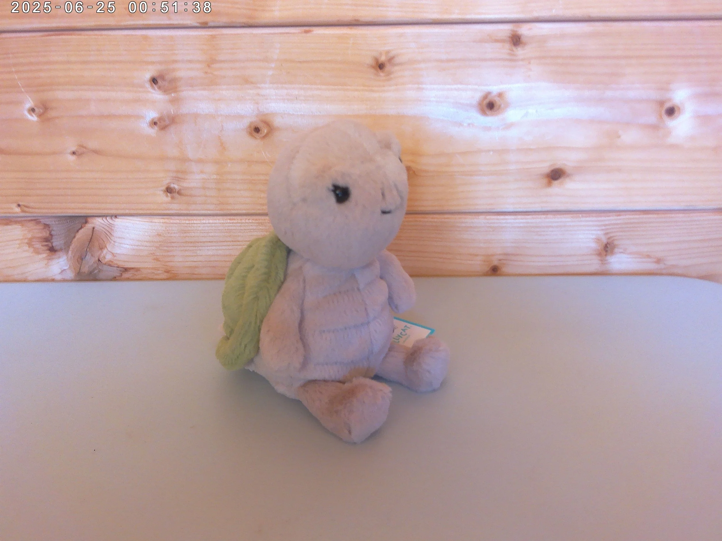 Thimble - photo 5.jpg