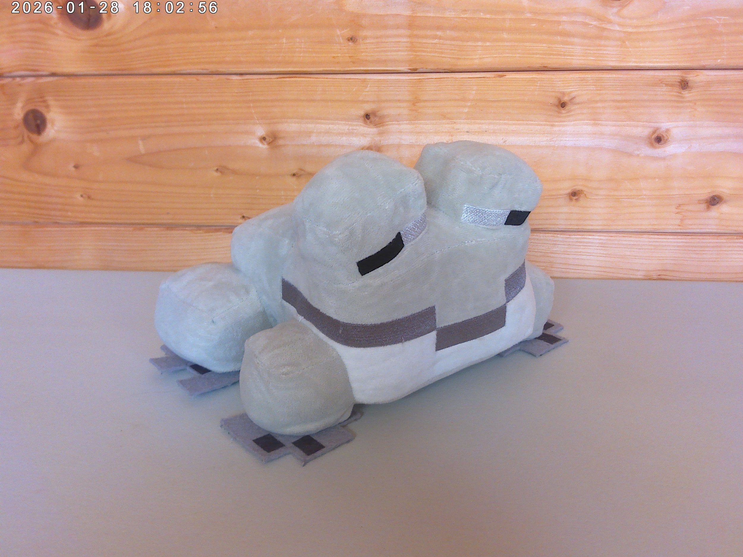 Frog Grey - photo 3.jpg