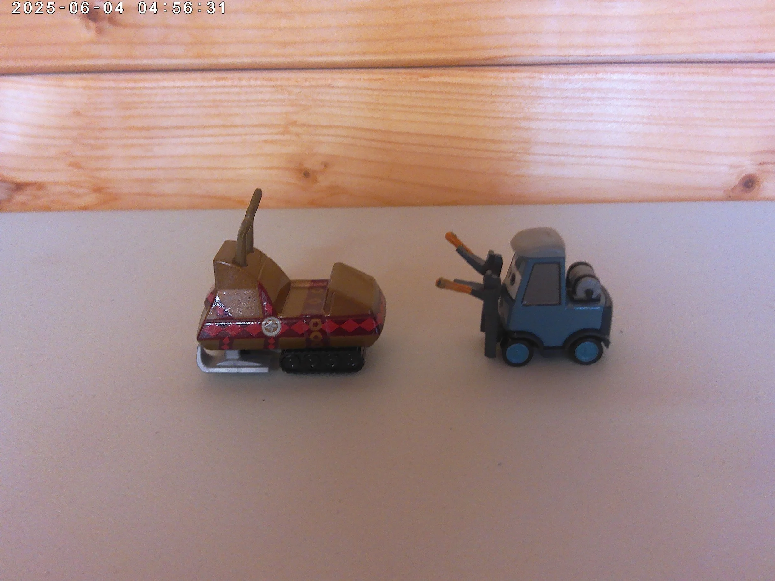 Pam & snowmobile - photo 2.jpg