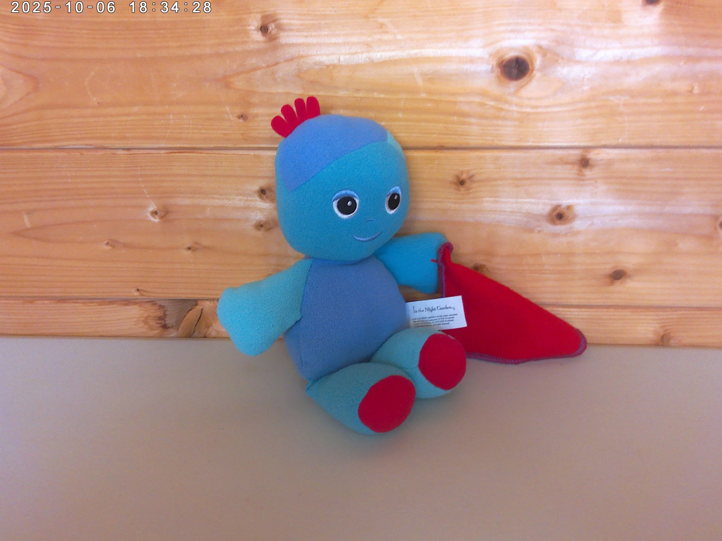 iggle piggle - photo 2.jpg