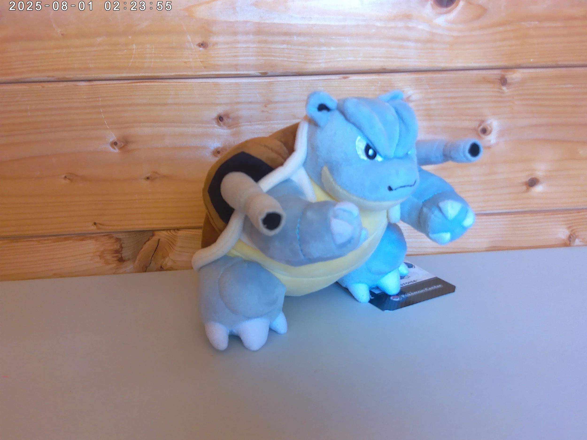 Blastoise - photo 3.jpg