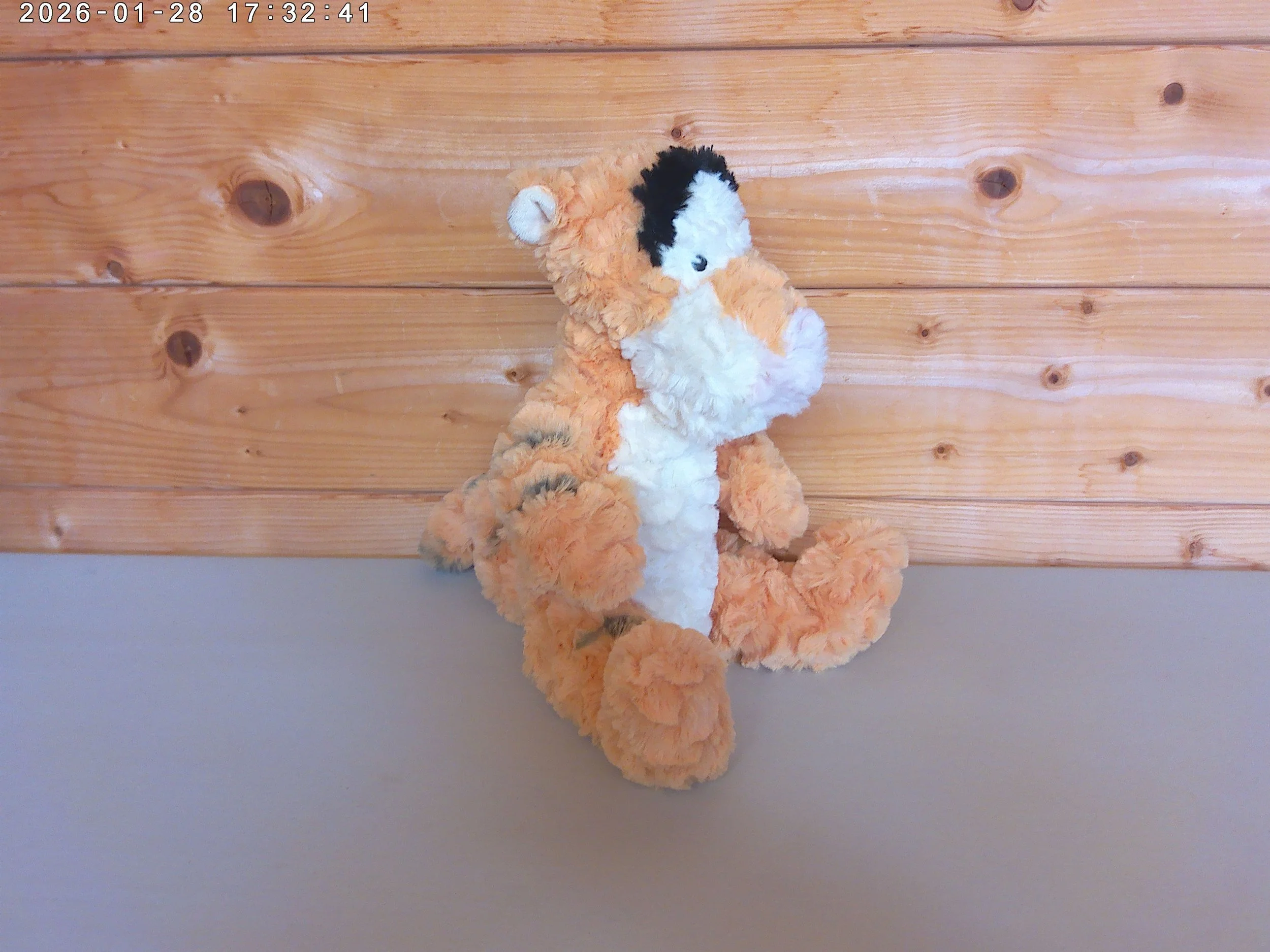 Tigger - photo 4.jpg