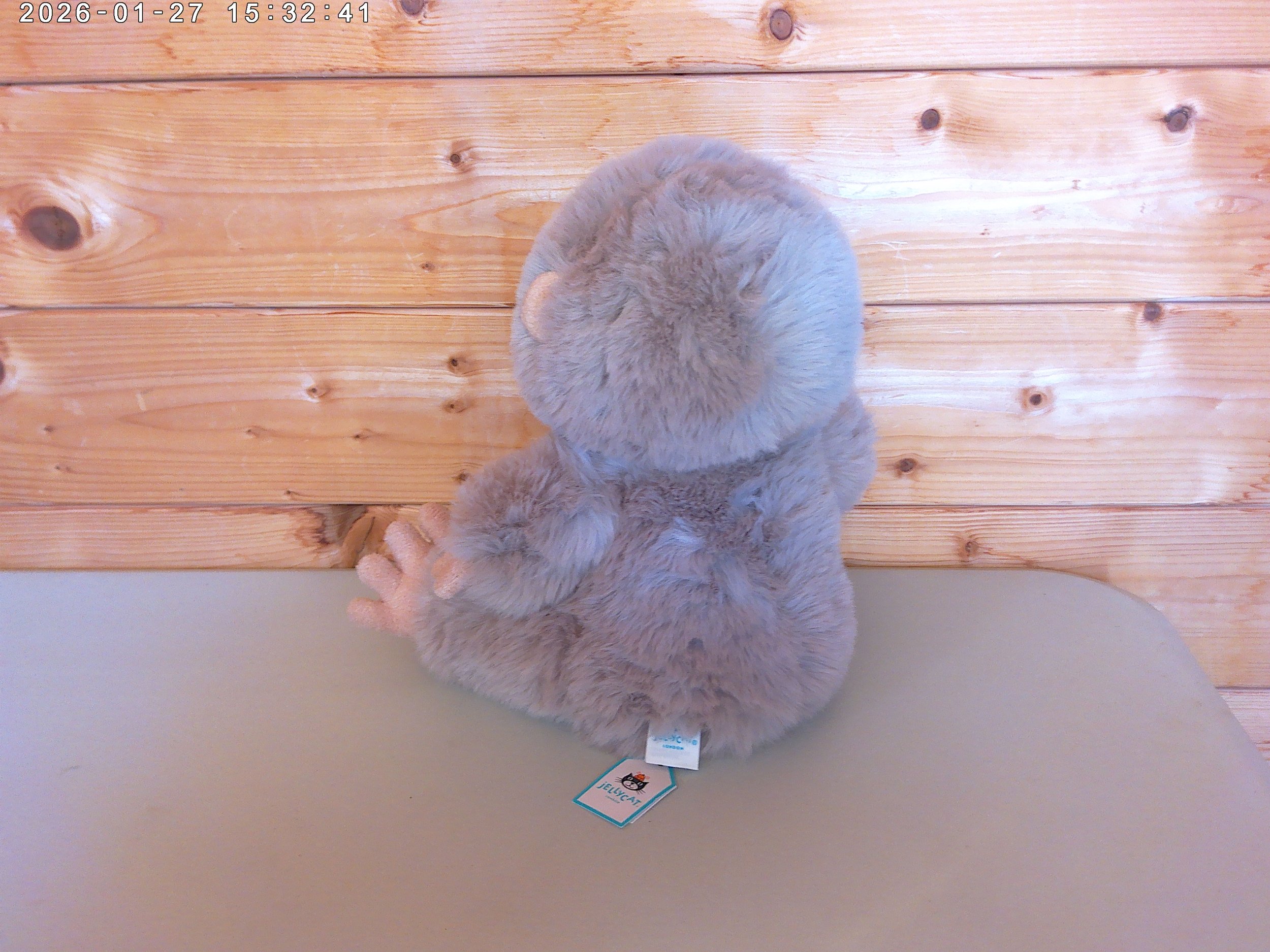 Bigfoot - photo 2.jpg