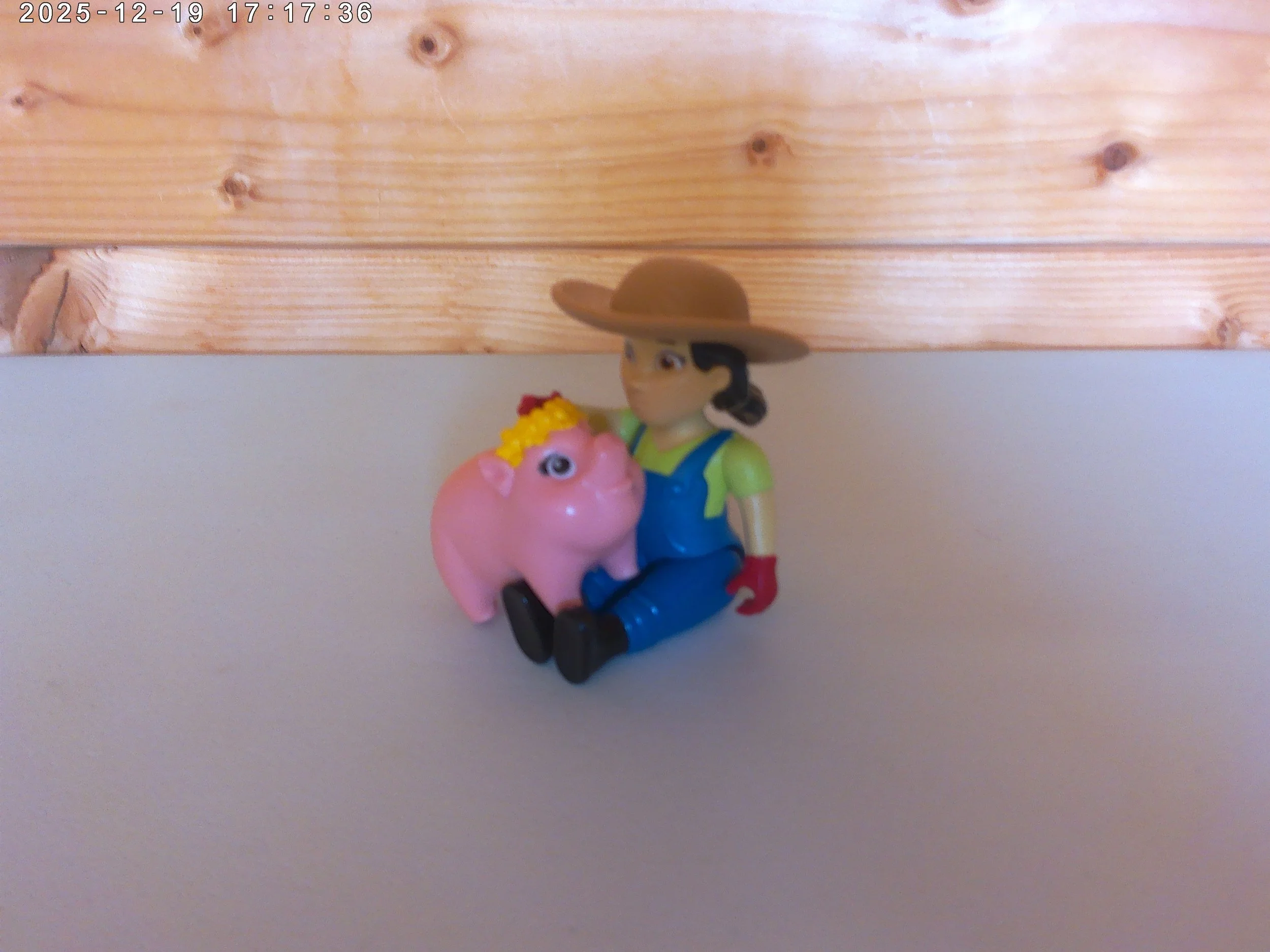 farmer yumi and piggie photo 3.jpg