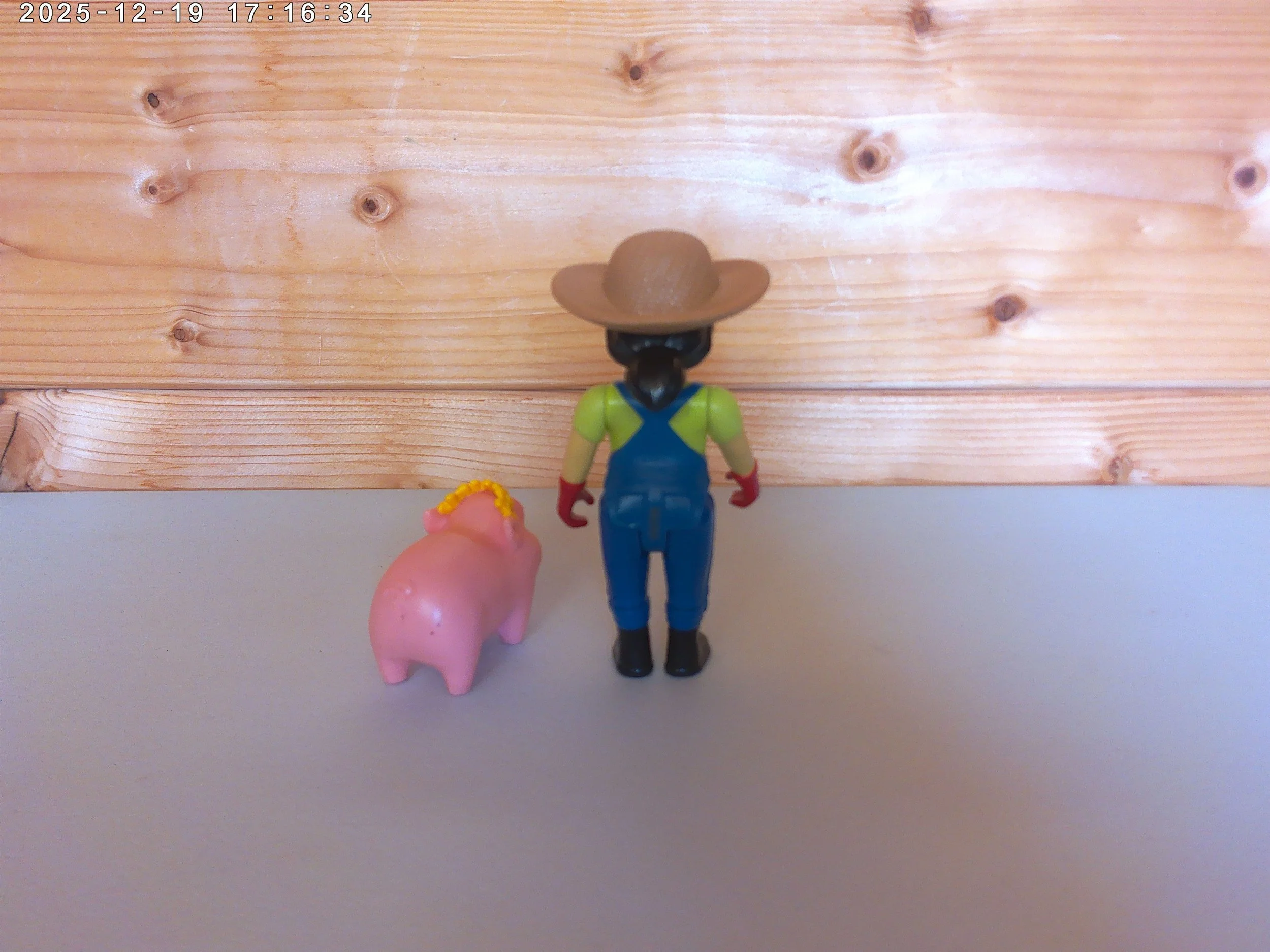 farmer yumi and piggie photo 2.jpg