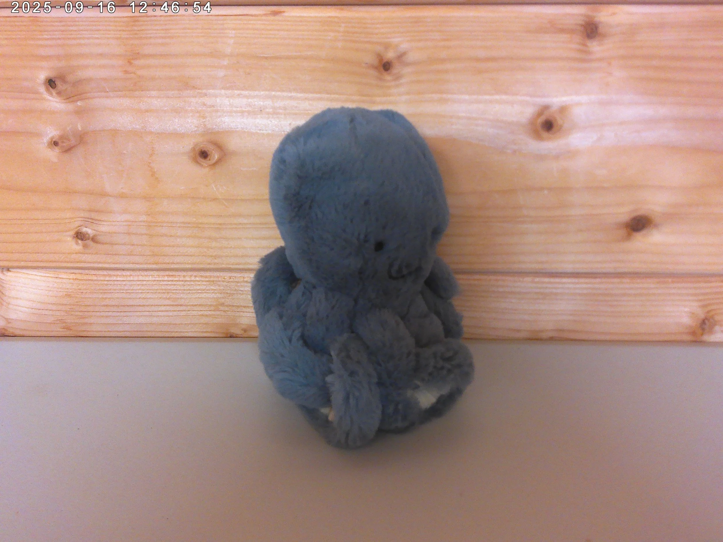 Storm Octopus - photo 3.jpg