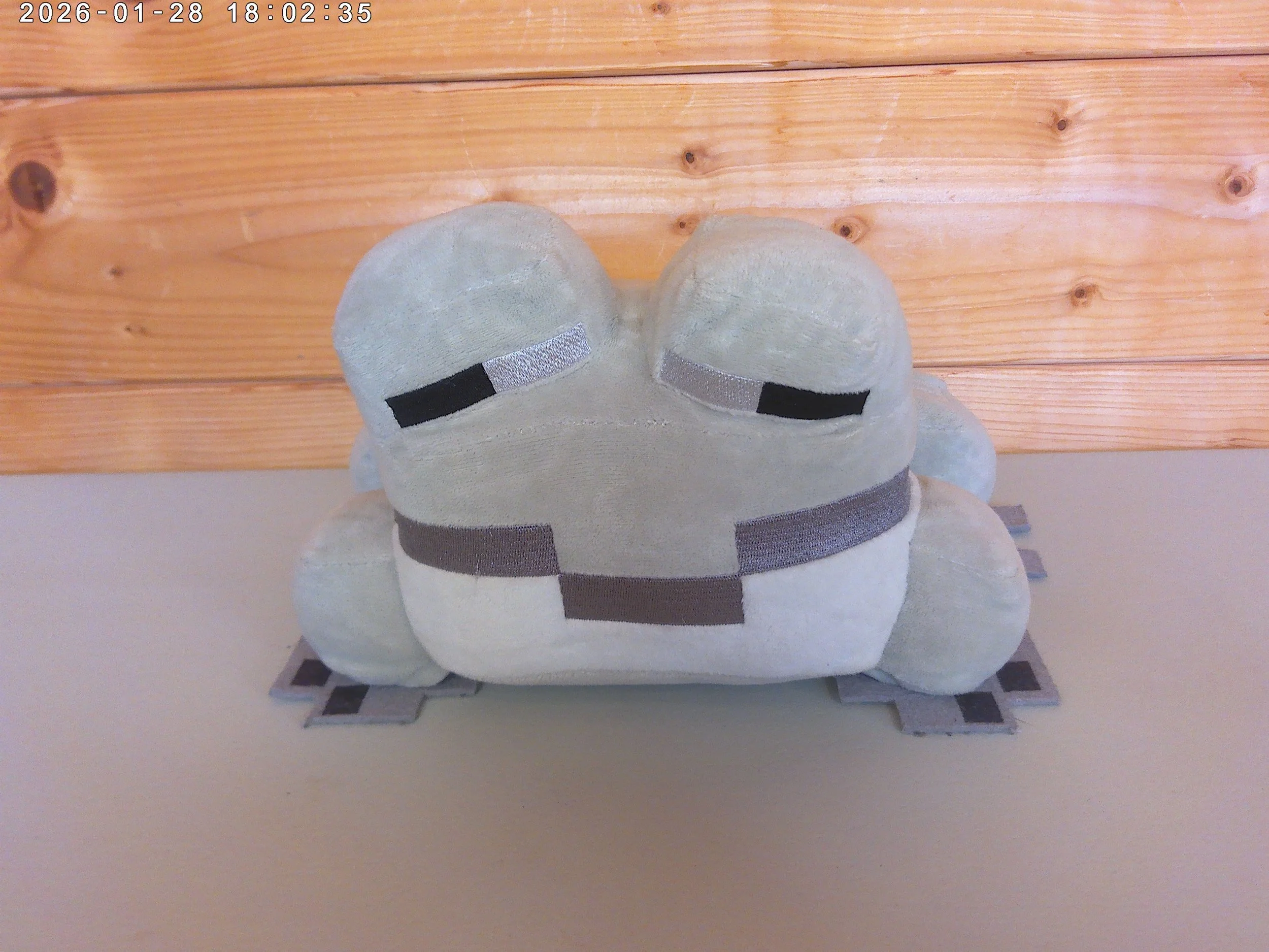 Frog Grey - photo 1.jpg