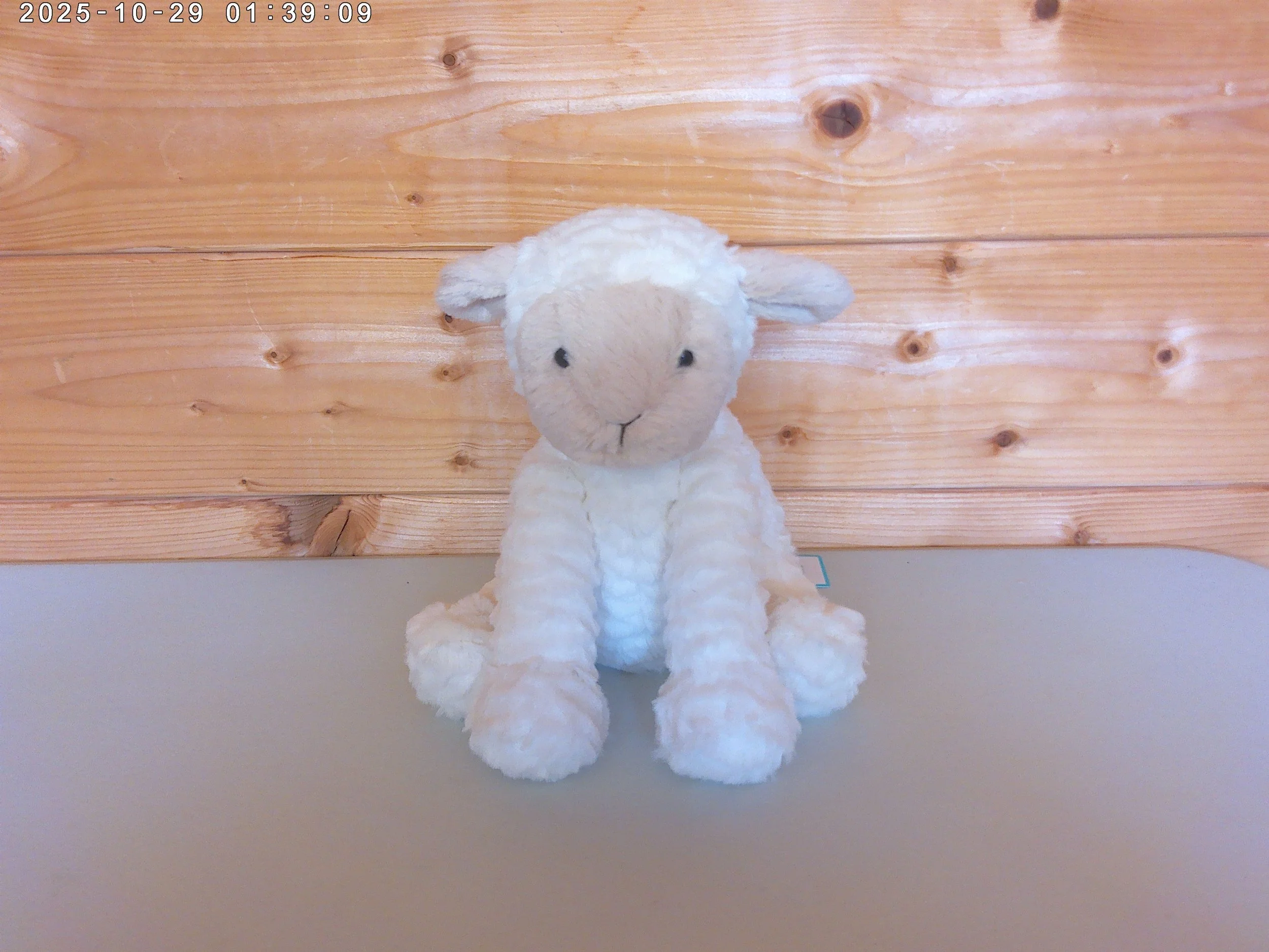 Fuddlewuddle lamb - photo 1.jpg