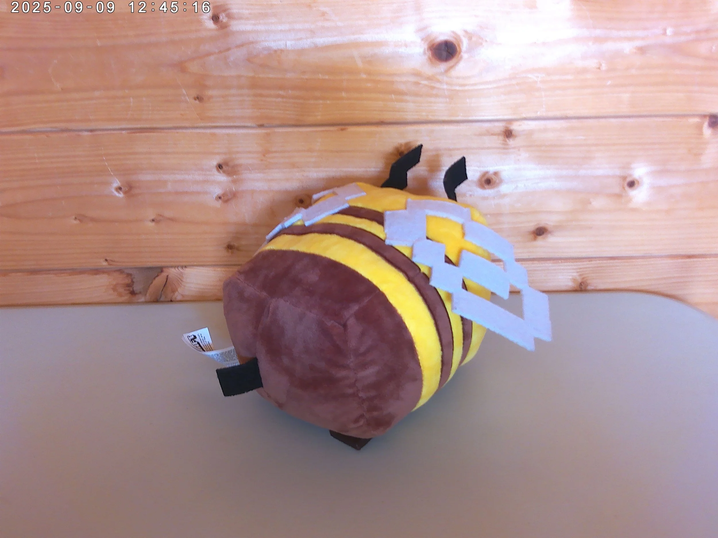 Bee - photo 3.jpg