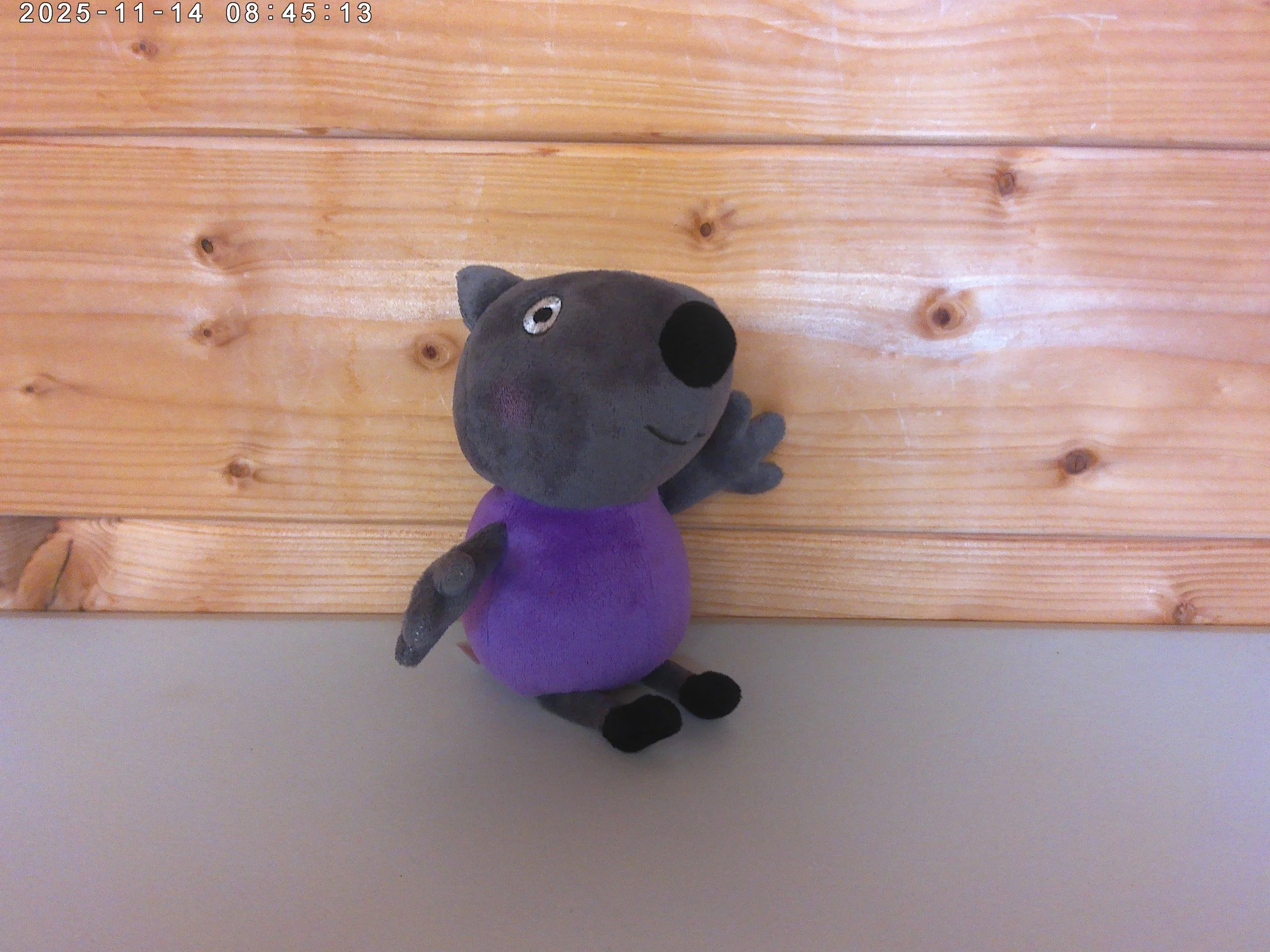 Danny dog - photo 4.jpg