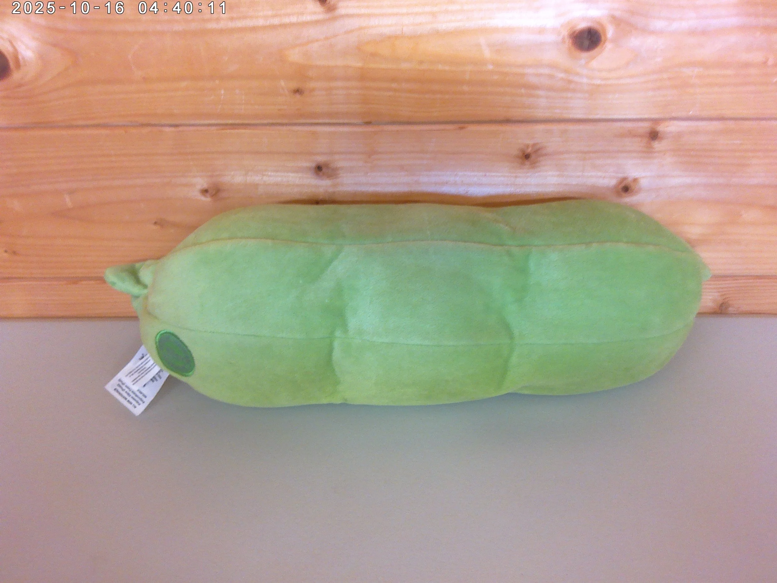 Medium peas in a pod - photo 2 (2).jpg