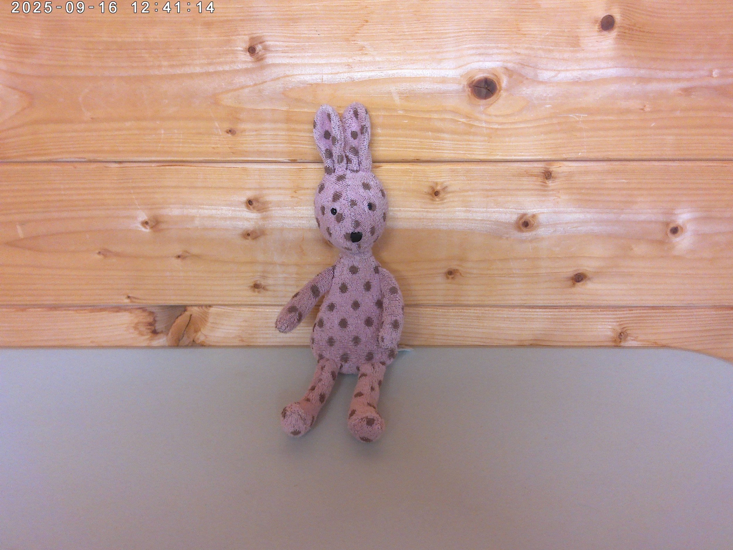 Jellycat Bambina Pink Bunny - 2015  - Rare & Retired