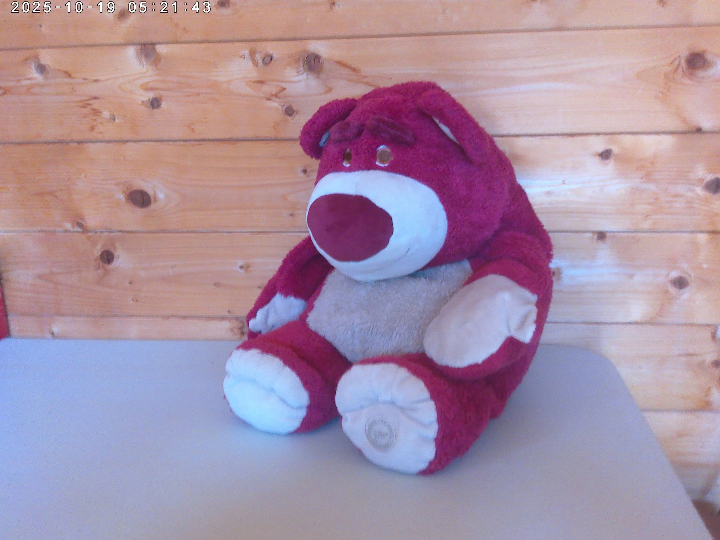 Lotso - photo 3.jpg
