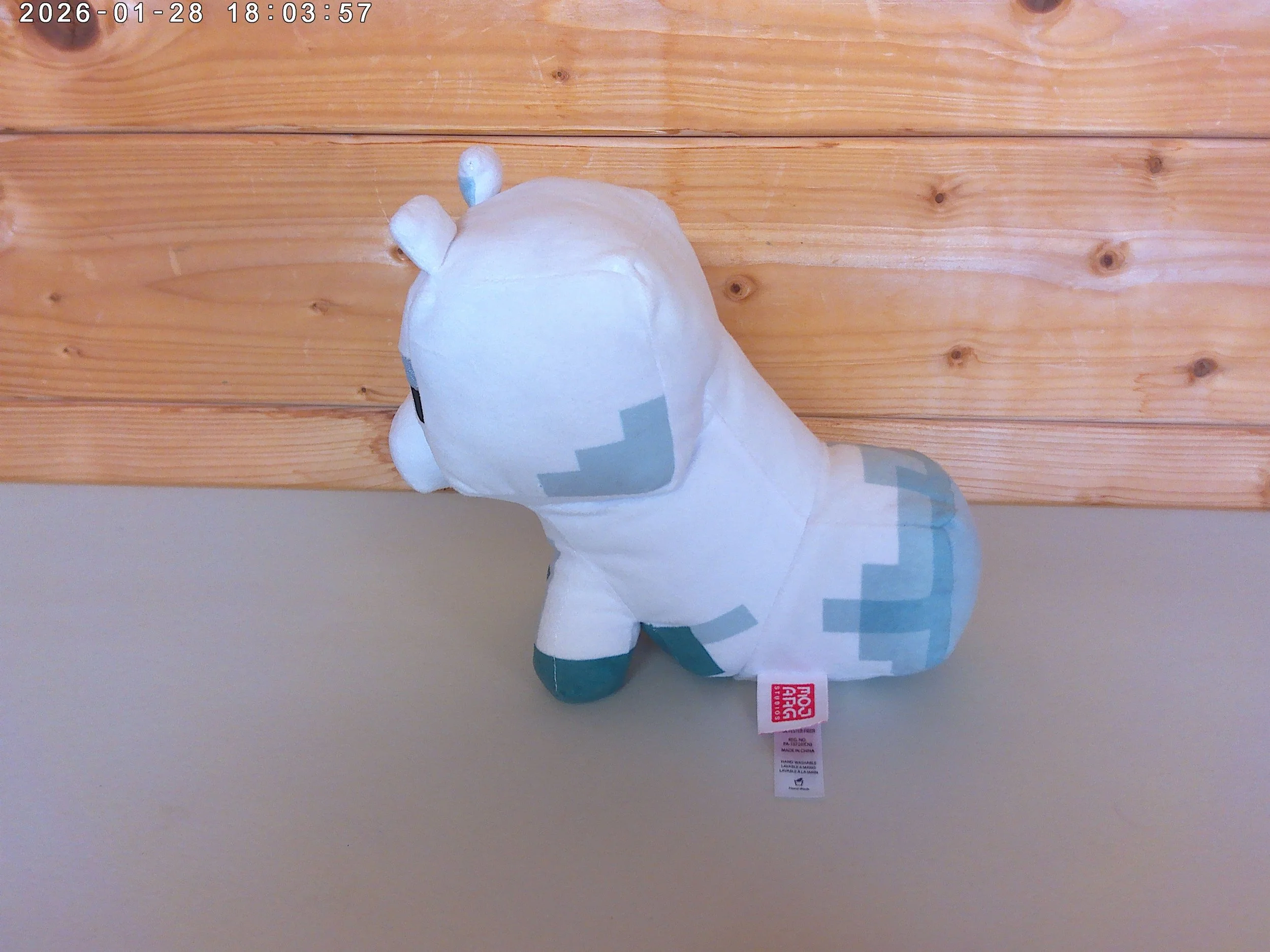 Artic Fox - photo 3.jpg