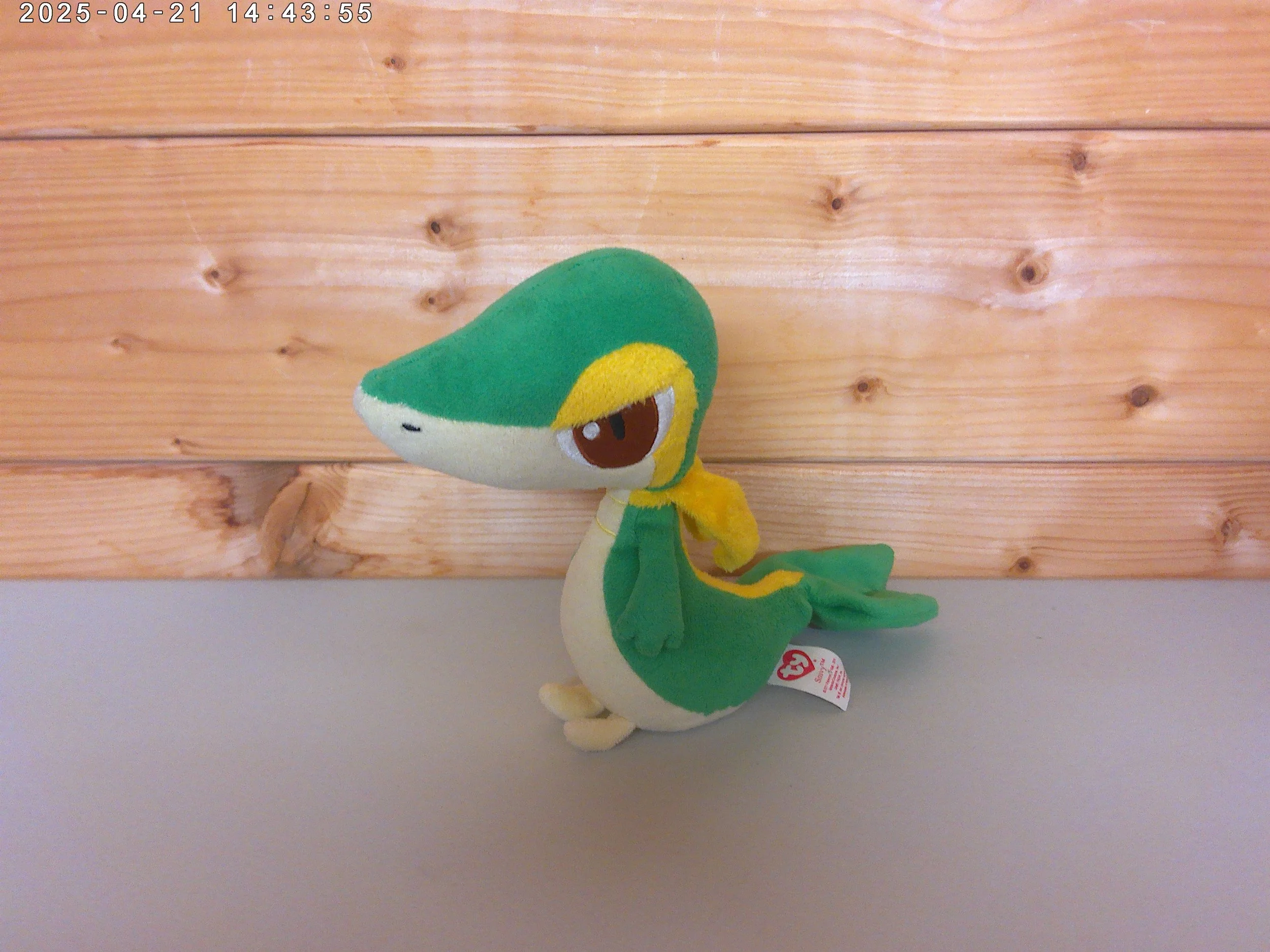 Snivy - photo 1.jpg