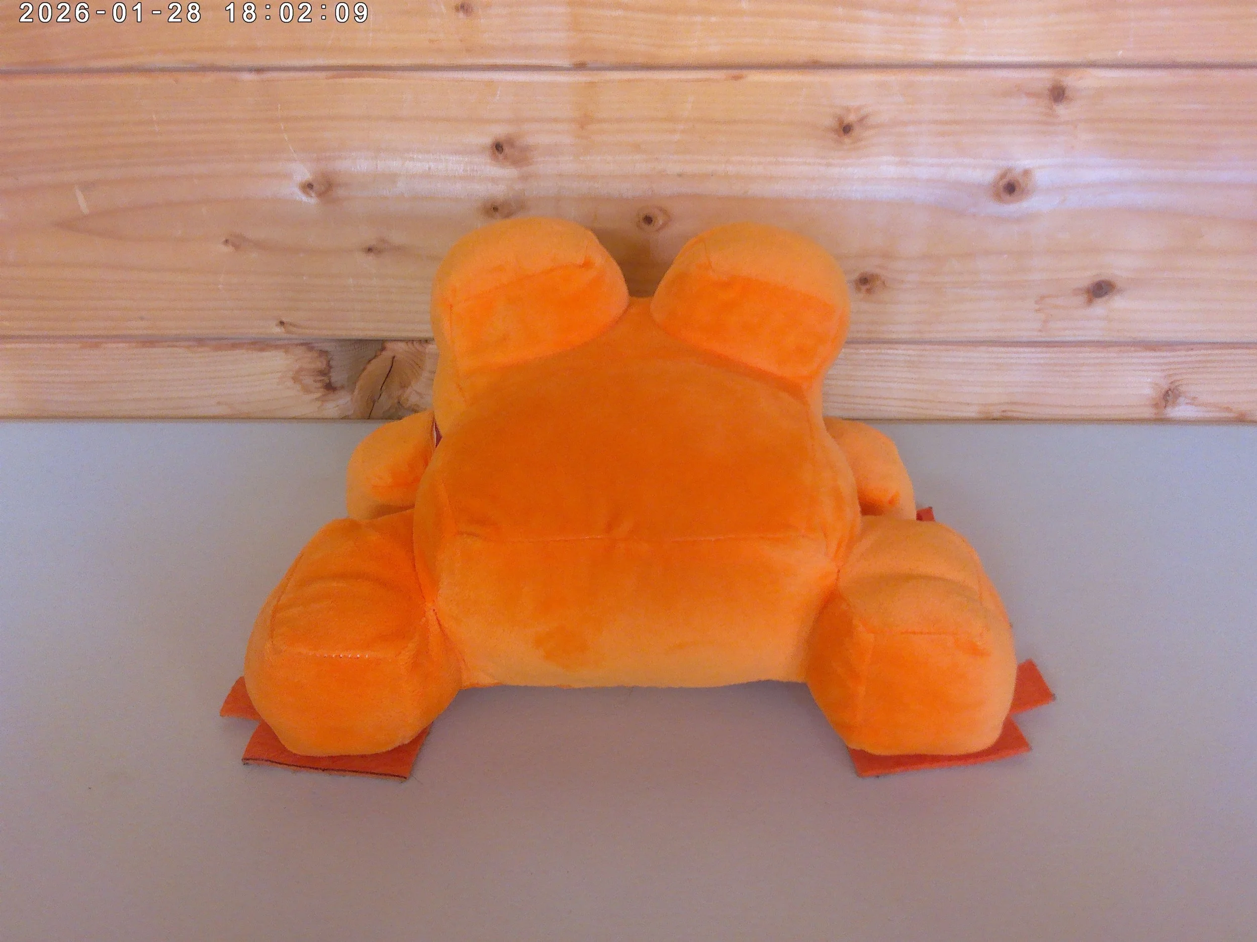 Frog Orange - photo 2.jpg