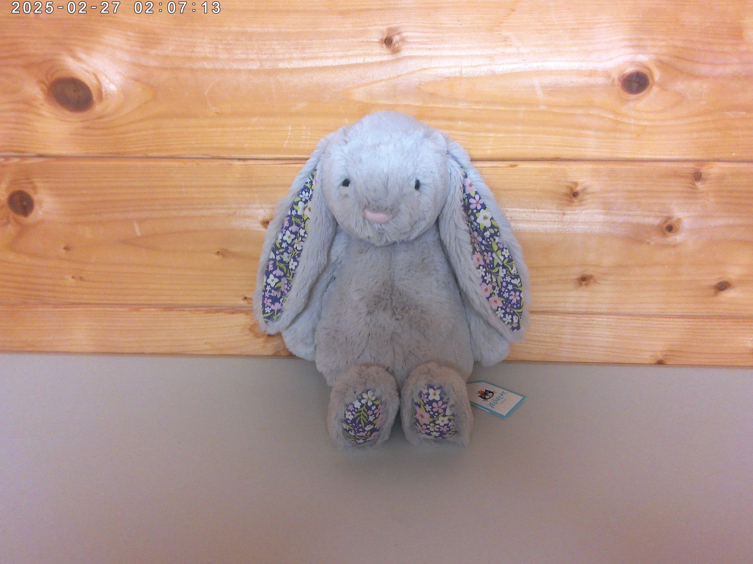 Blossom sliver bunny photo 1.jpg