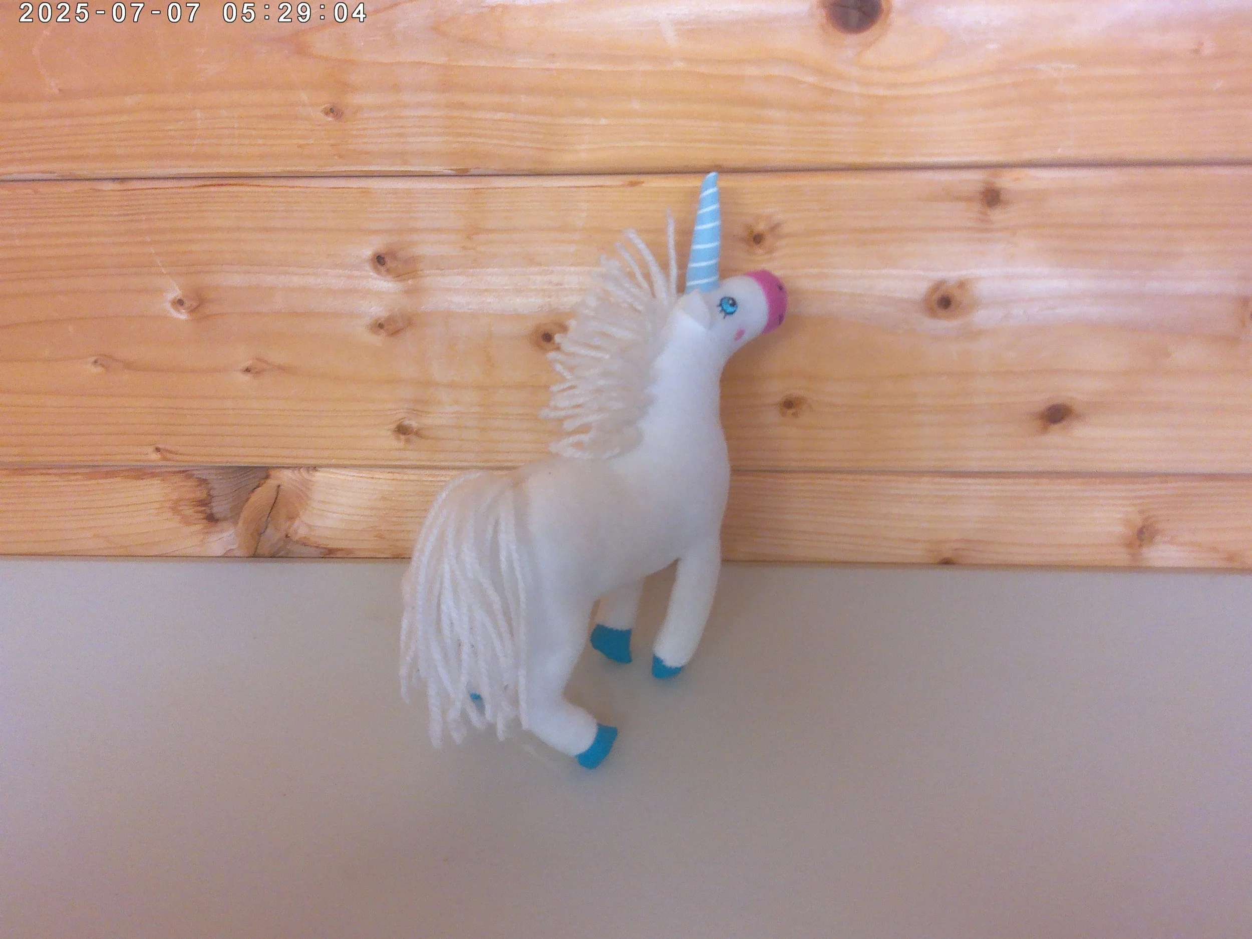 Sugerlump - photo 2.jpg