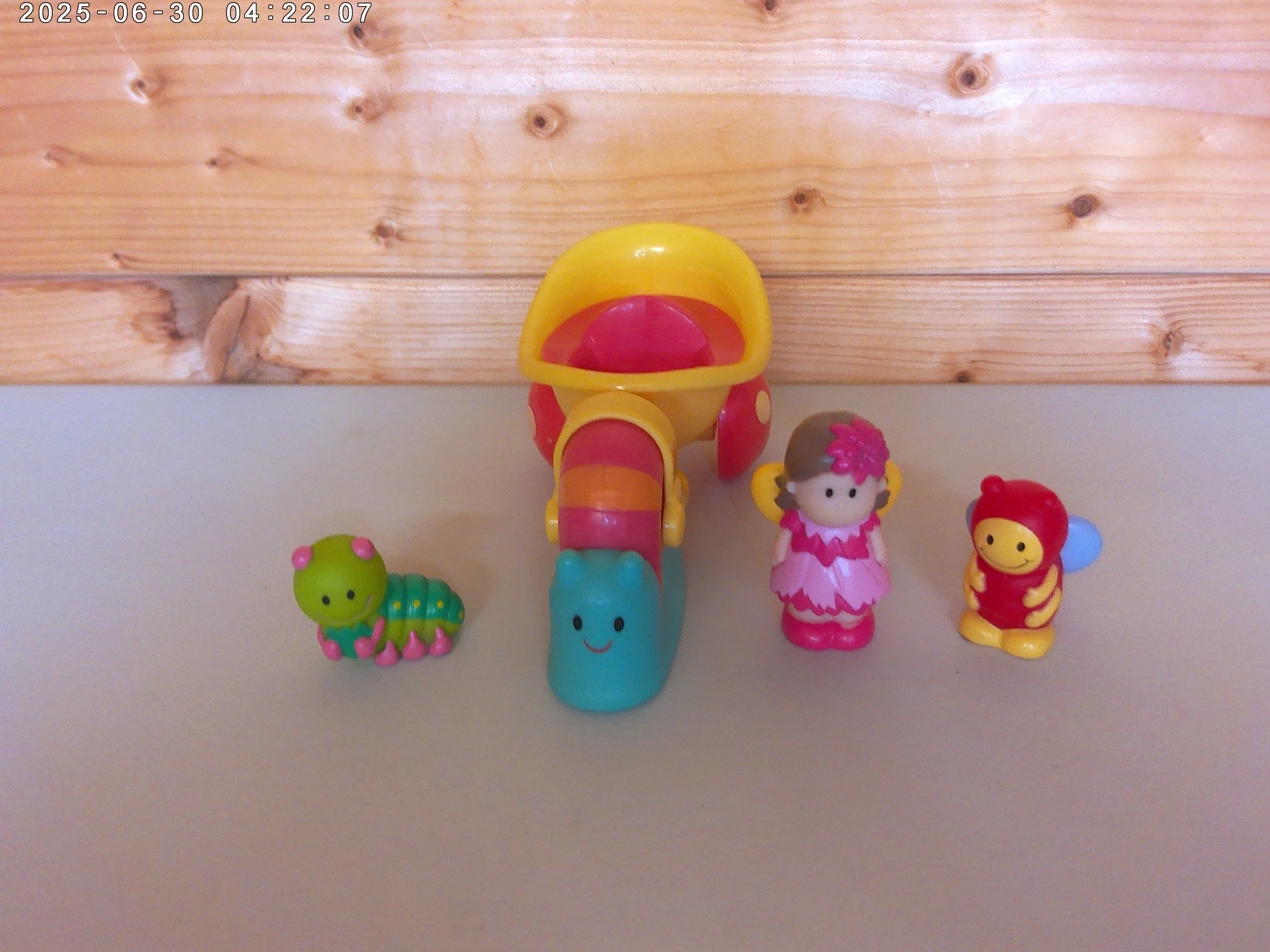 Fairy snail - photo 3.jpg