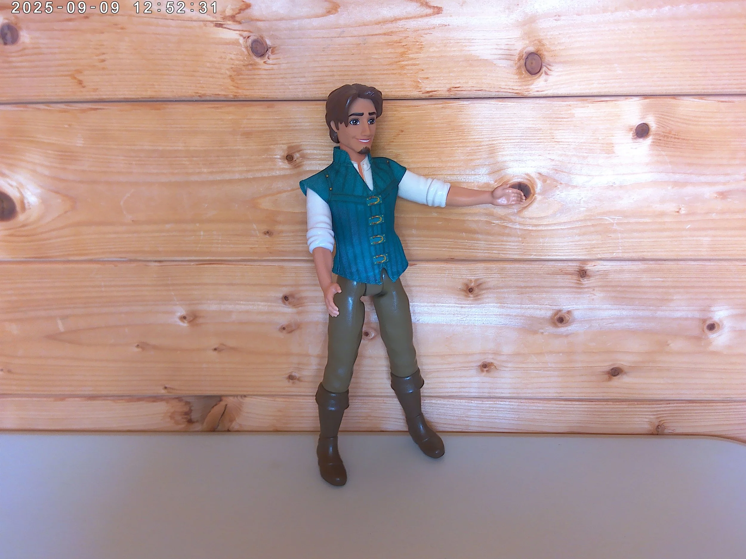 Flynn Rider - photo 3.jpg
