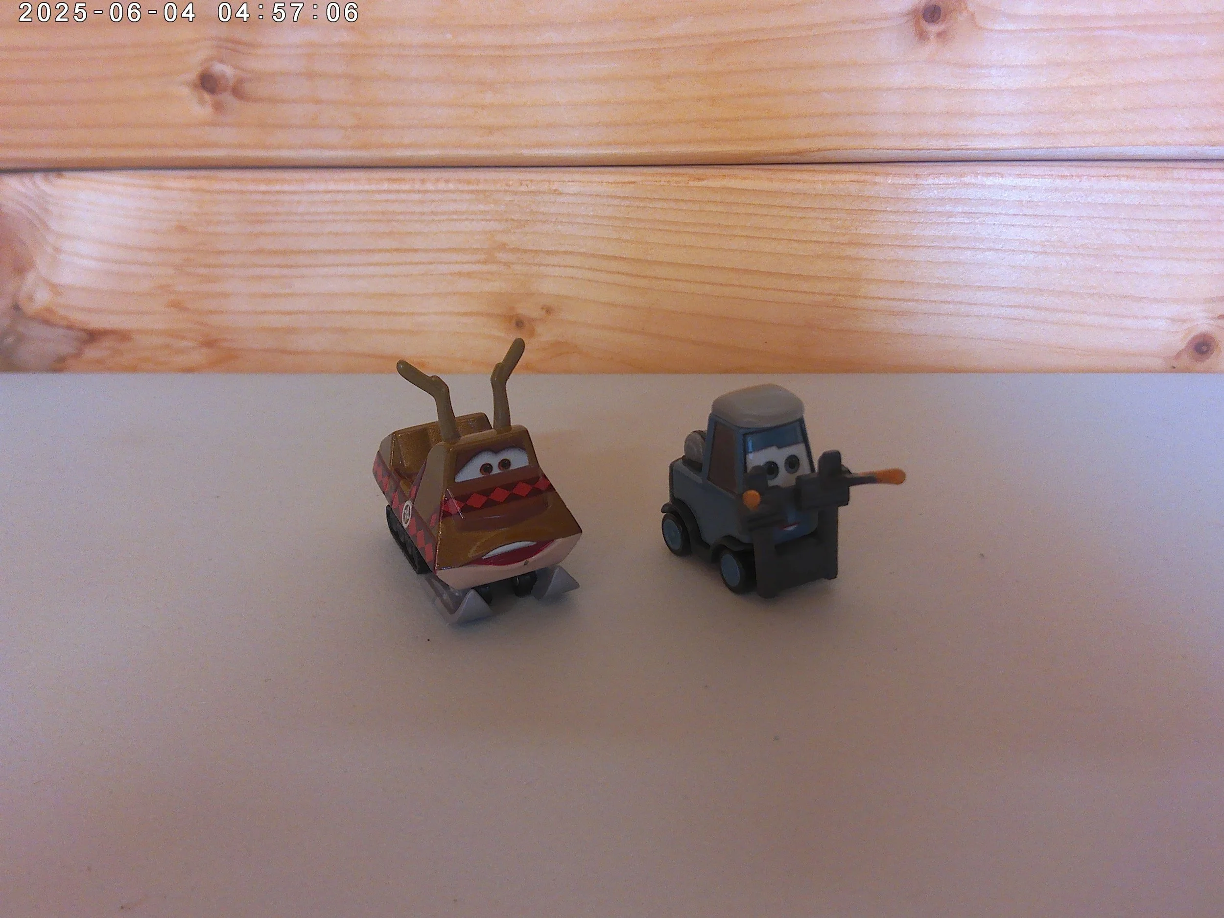 Pam & snowmobile - photo 3.jpg